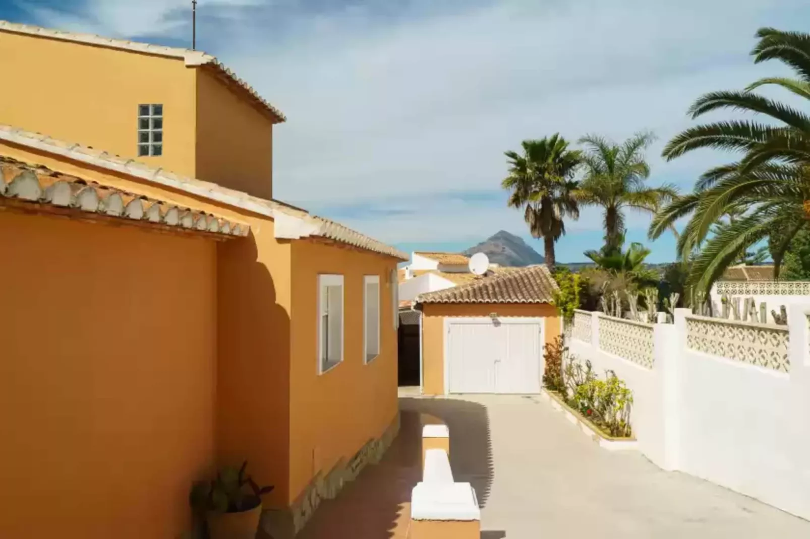 Gladiolo-Exterior summer