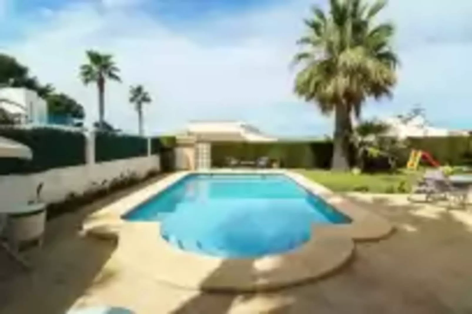 Gladiolo-Pool