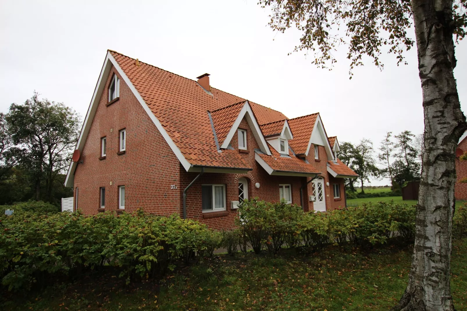 Ferienwohnung Sommerdeich - 4 Personen-Exterior summer