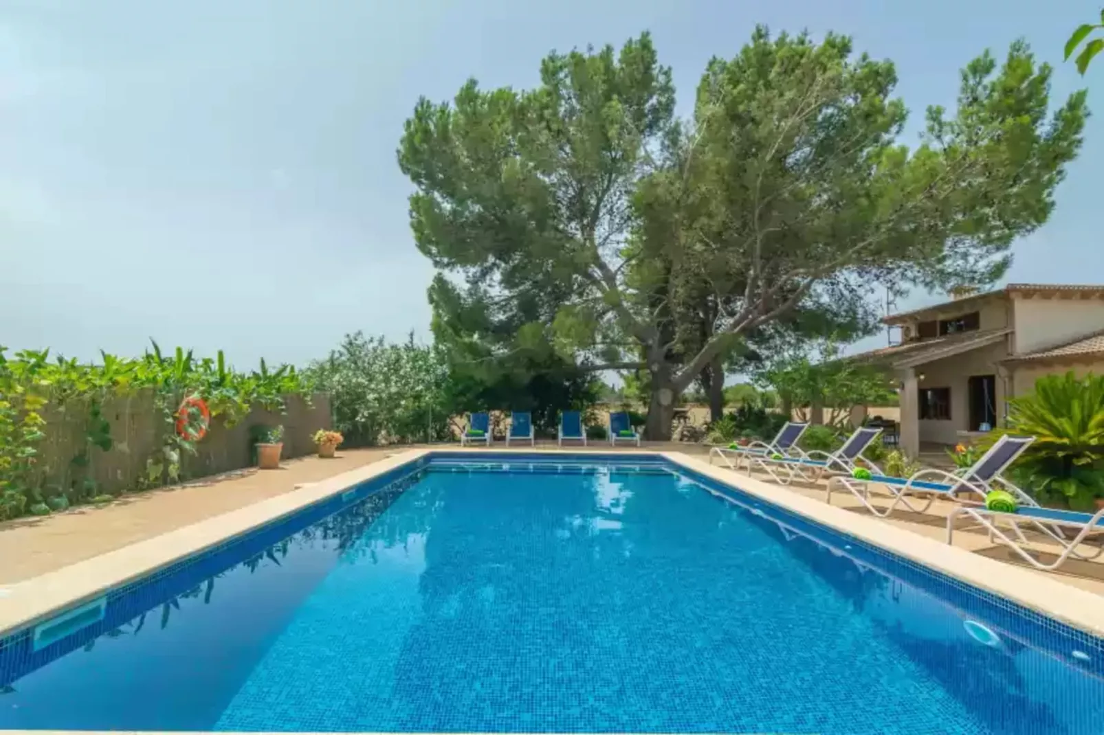 Can Ribas-Pool