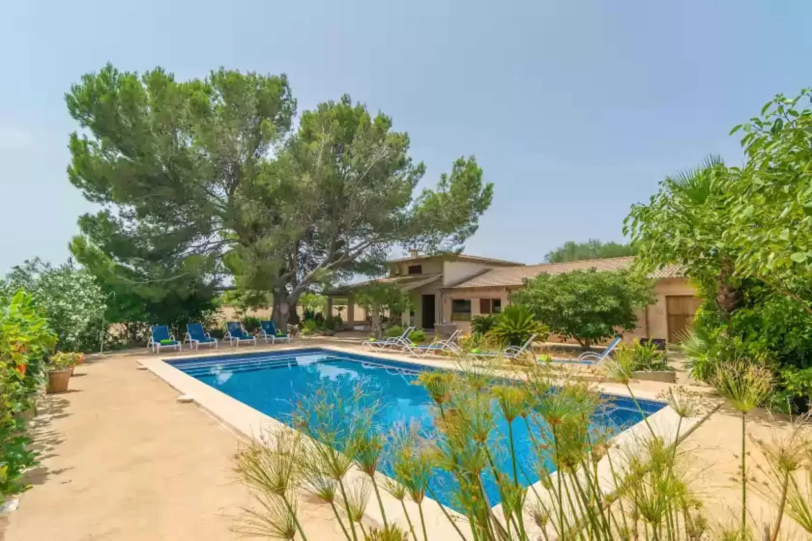 Can Ribas-Pool
