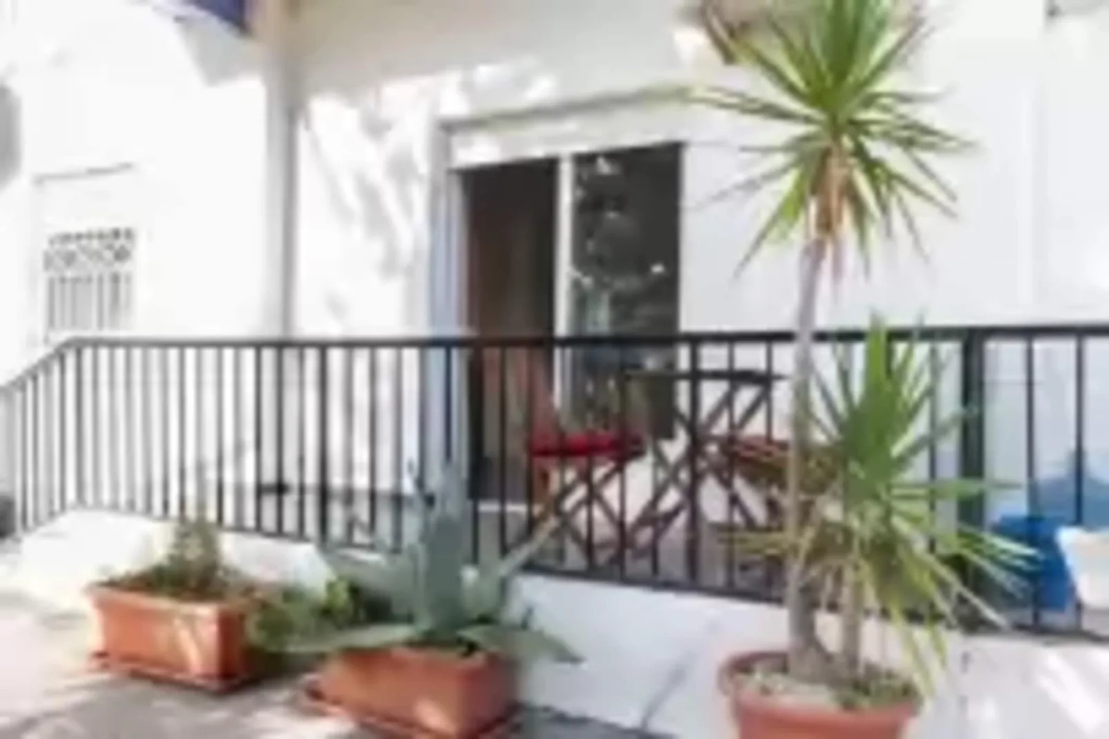Palomas-Terrace balcony