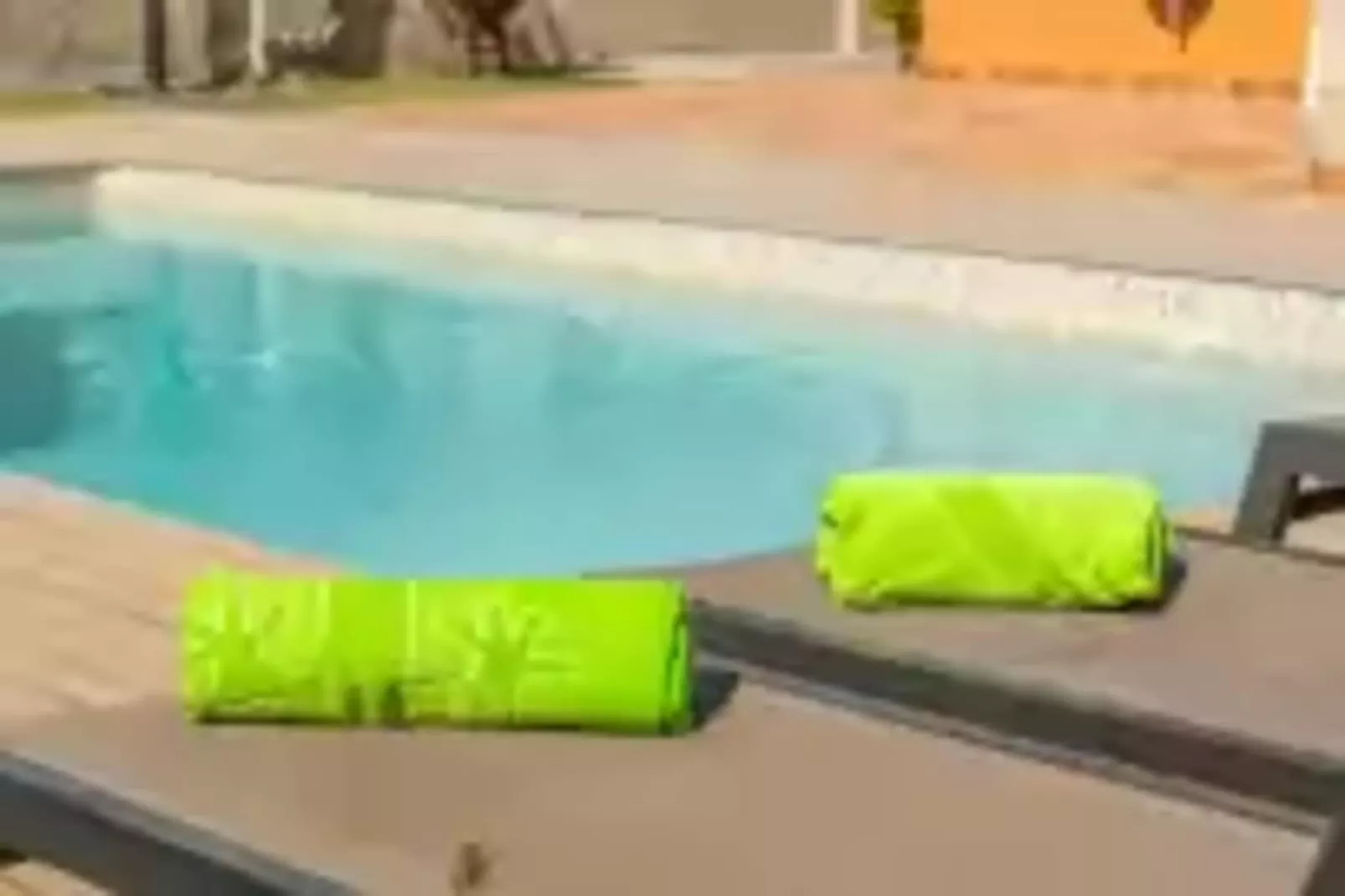 Paradise 88-Pool