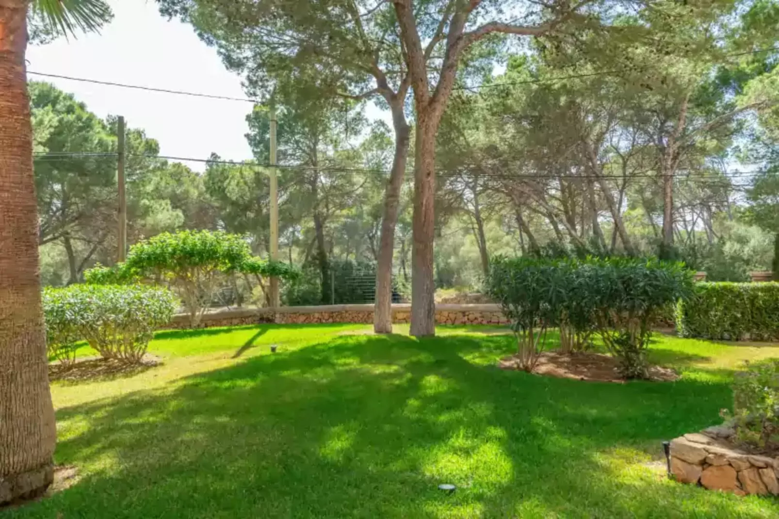 Barca Trencada (a3)-Gardens summer