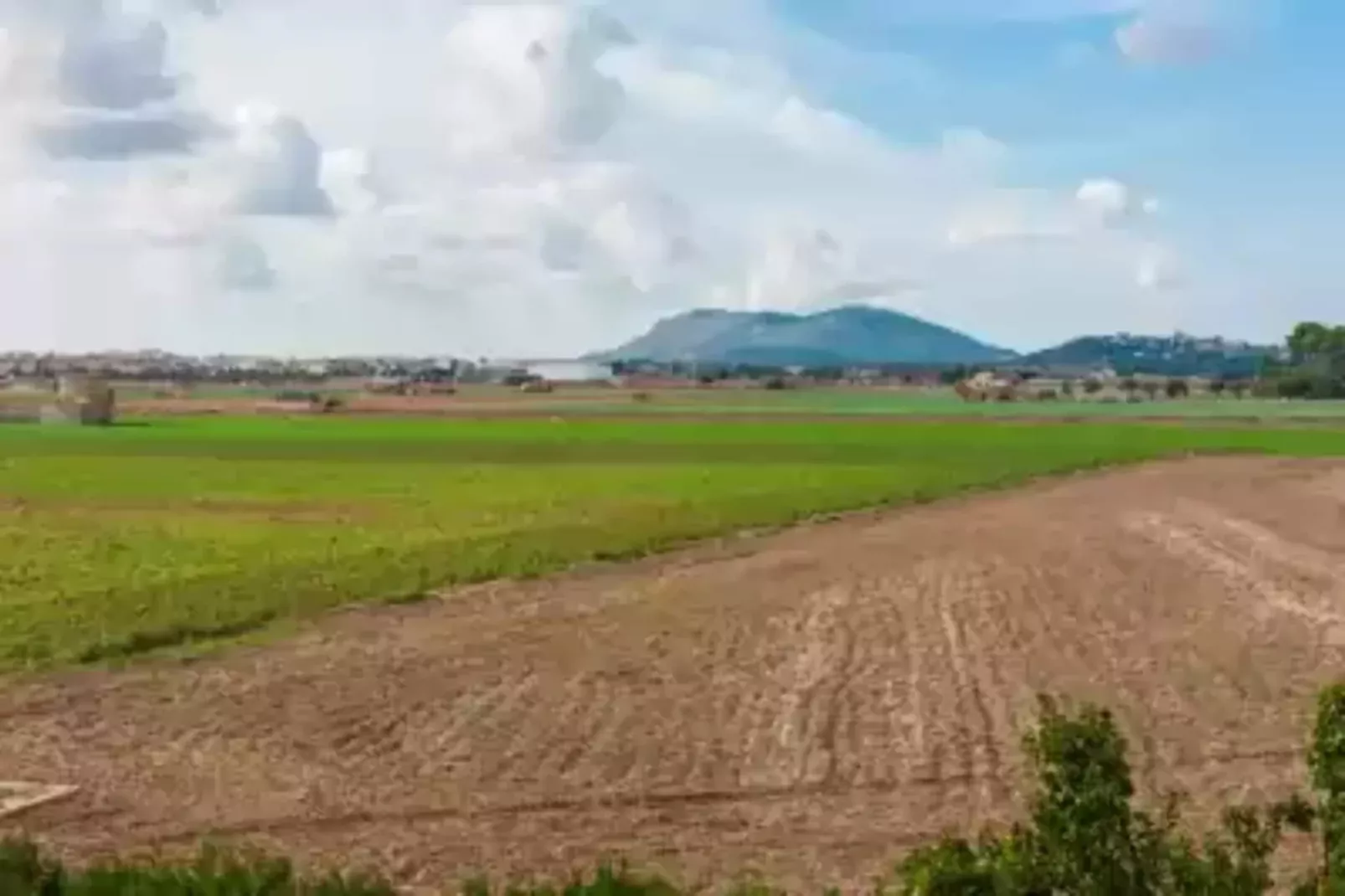 Son Morei De Ses Penyes-Gebiete Sommer 5 km