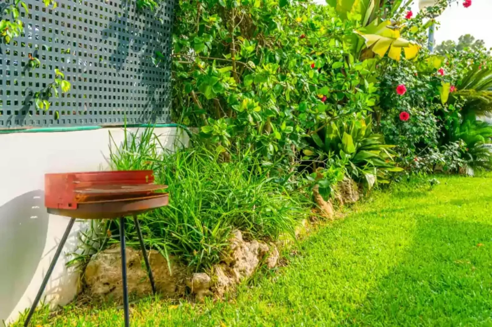 Cas Ferrer (bonaire)-Jardin d'été