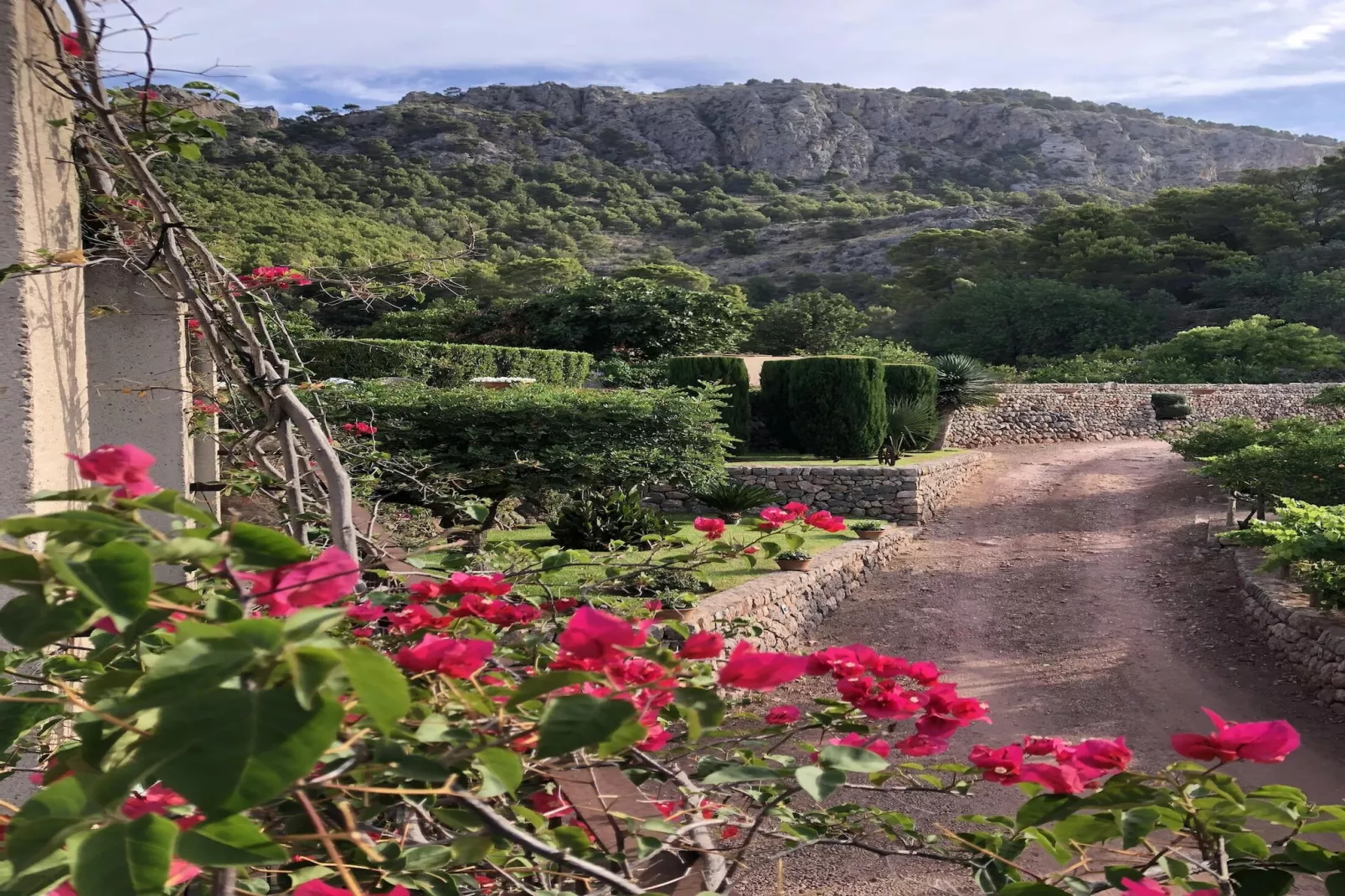 Casa Hidalgo-Gardens summer