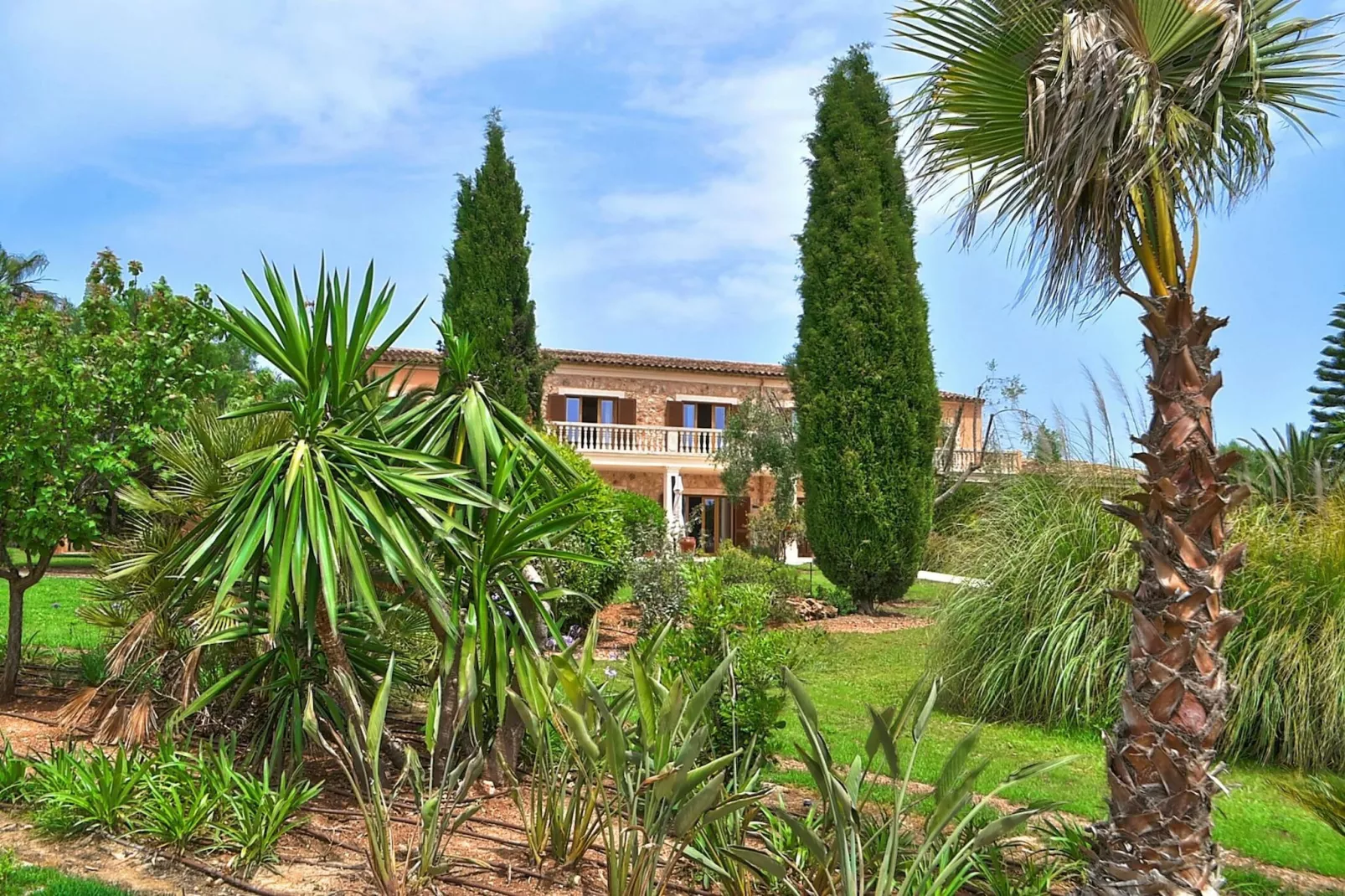 Casa Feliz-Extérieur été