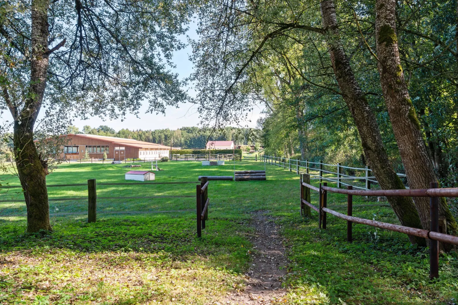 Lüneburger Heide-Jardin d'été