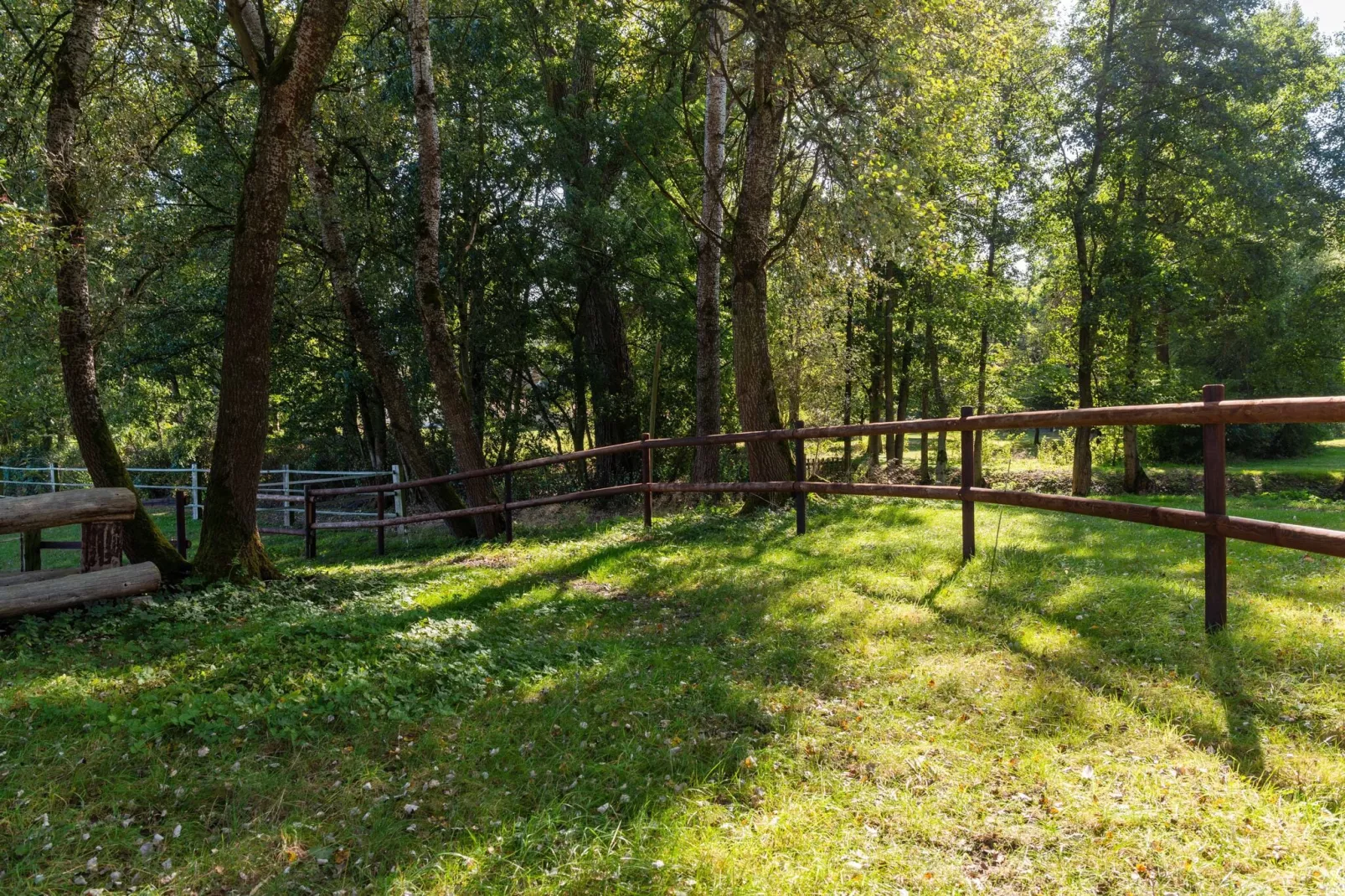 Lüneburger Heide-Jardin d'été