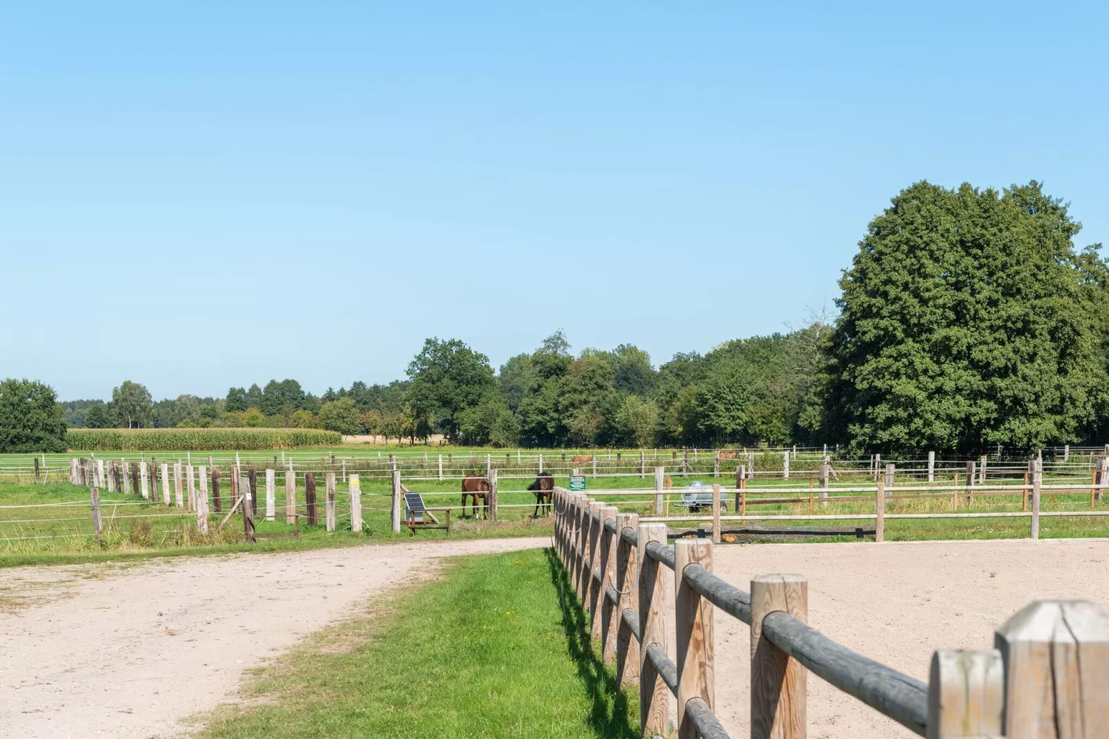 Lüneburger Heide-Zones d'été à 5 km
