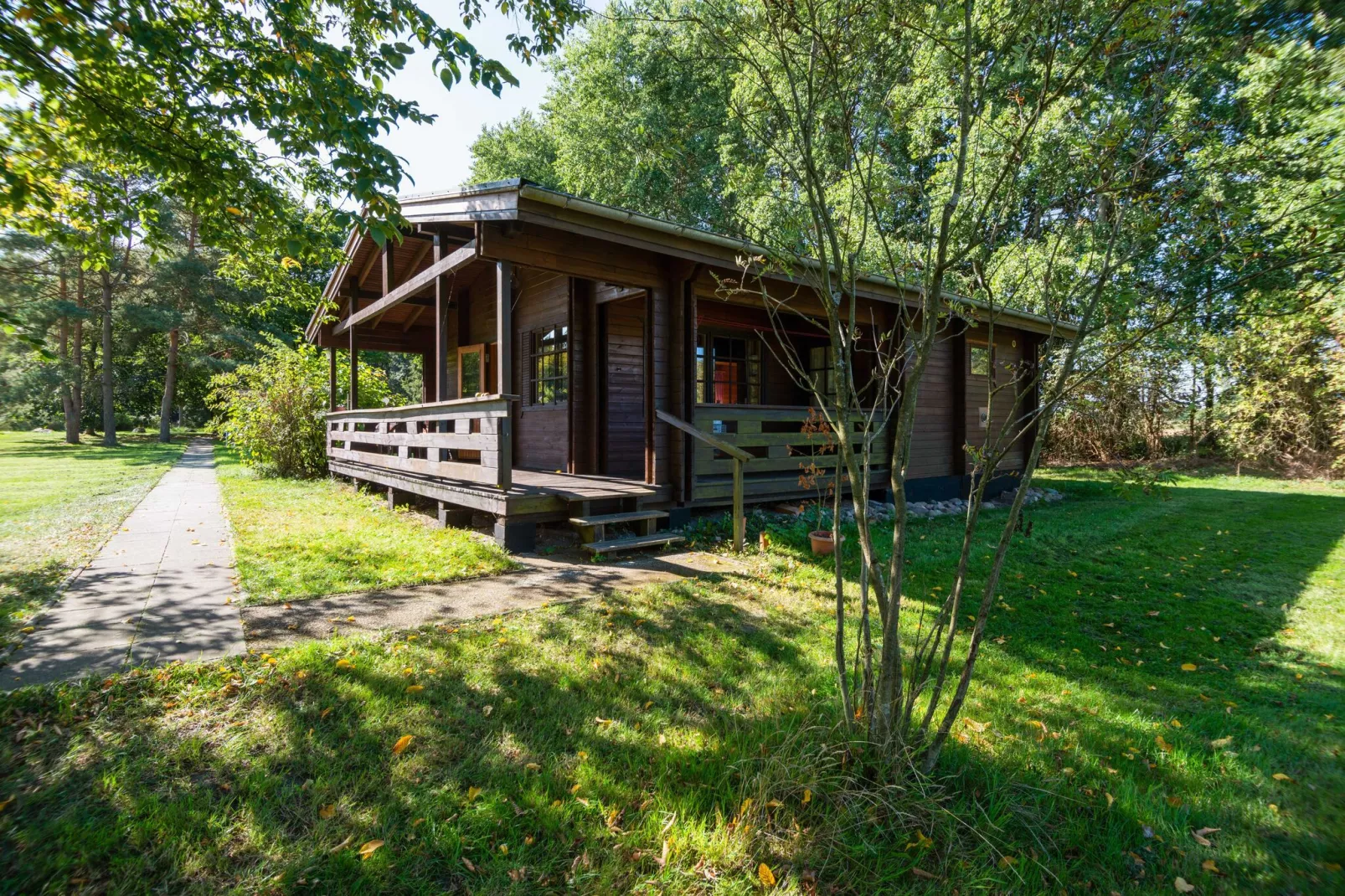 Lüneburger Heide-Außenbereich Sommer