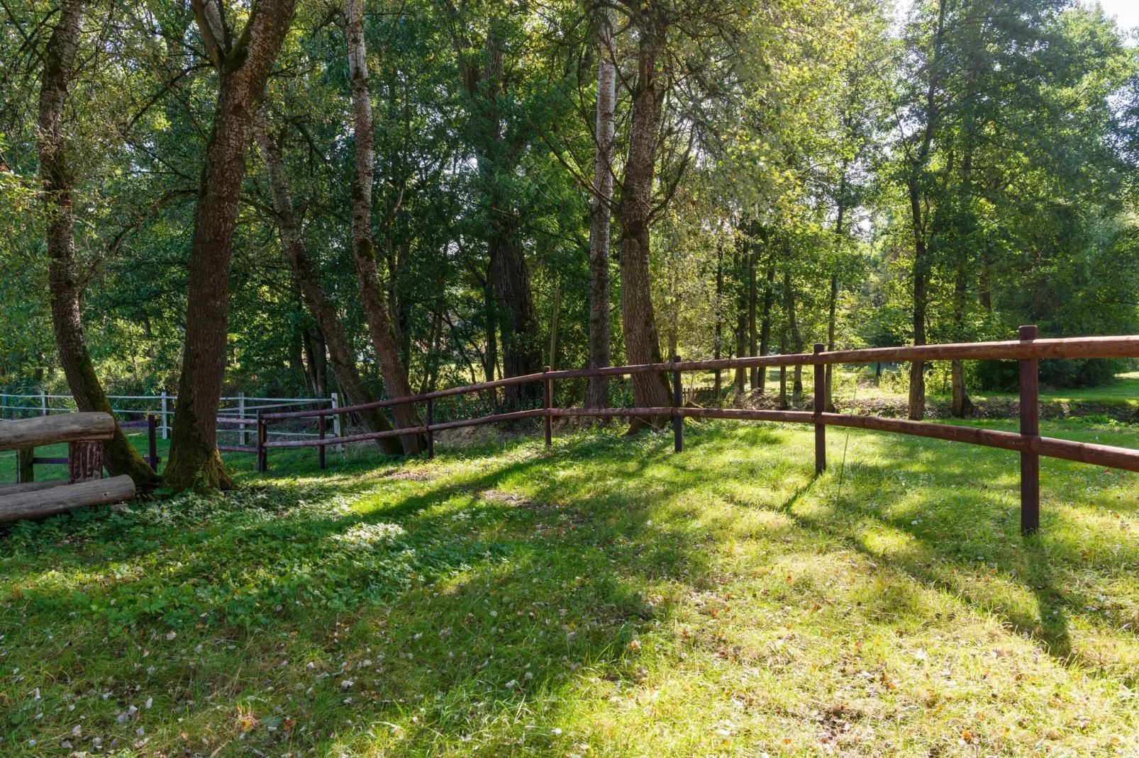 Lüneburger Heide-Garten Sommer