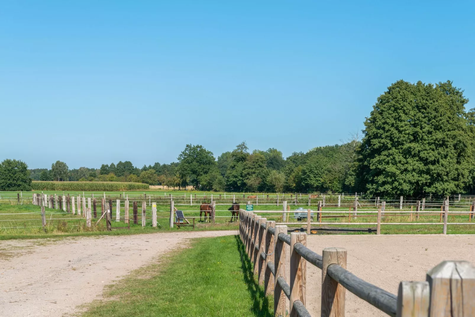 Lüneburger Heide-Gebiete Sommer 1 km