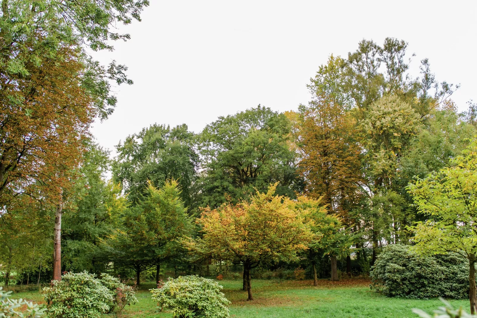 Lüneburger Heide-Gebiete Sommer 5 km