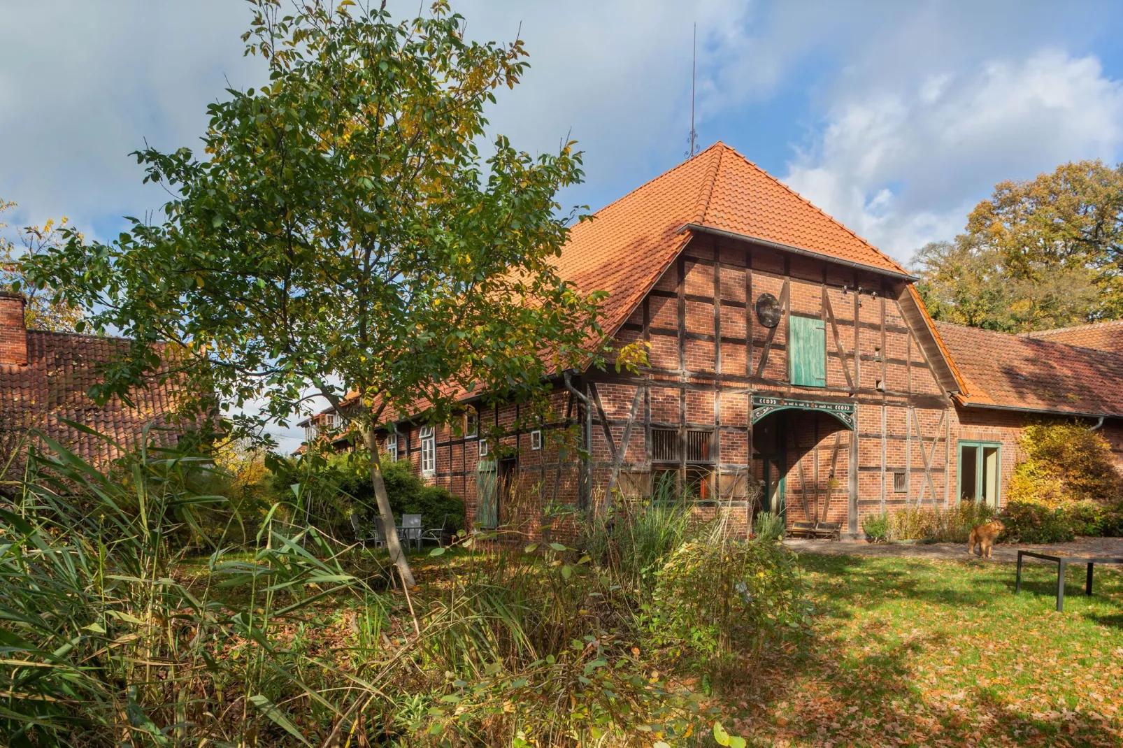 Biobauernhof-Exterior summer