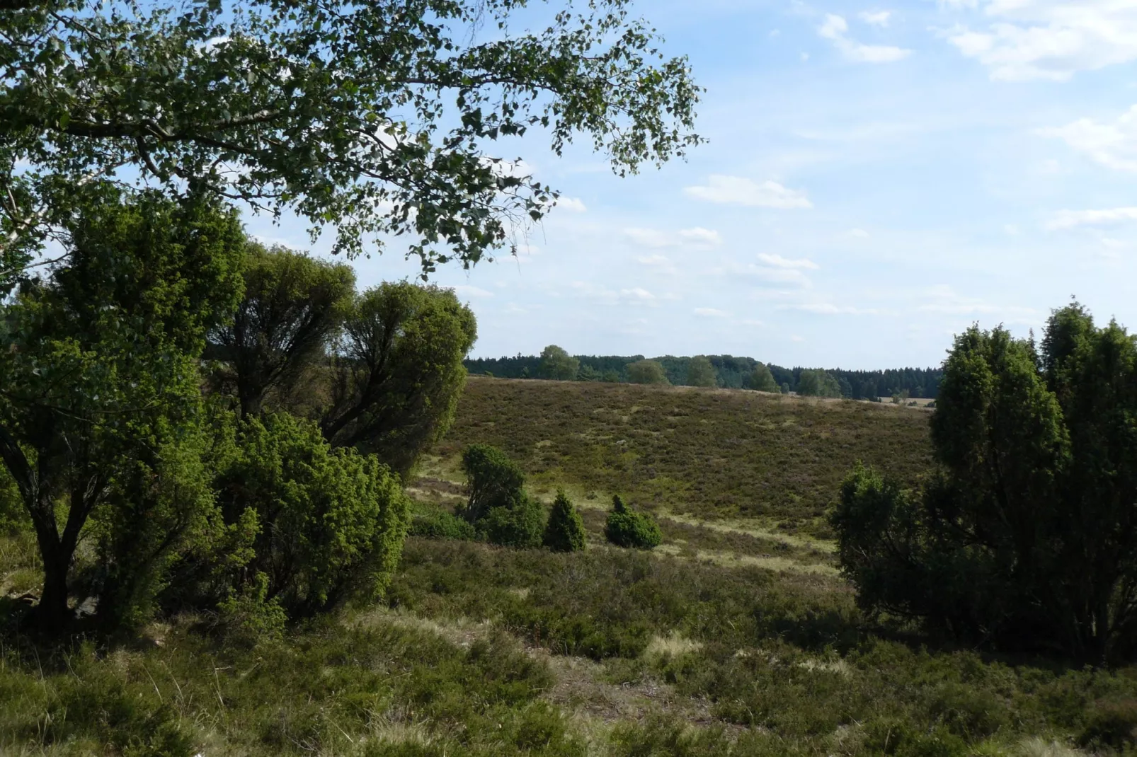 Ericaheidepark-Areas summer 20km