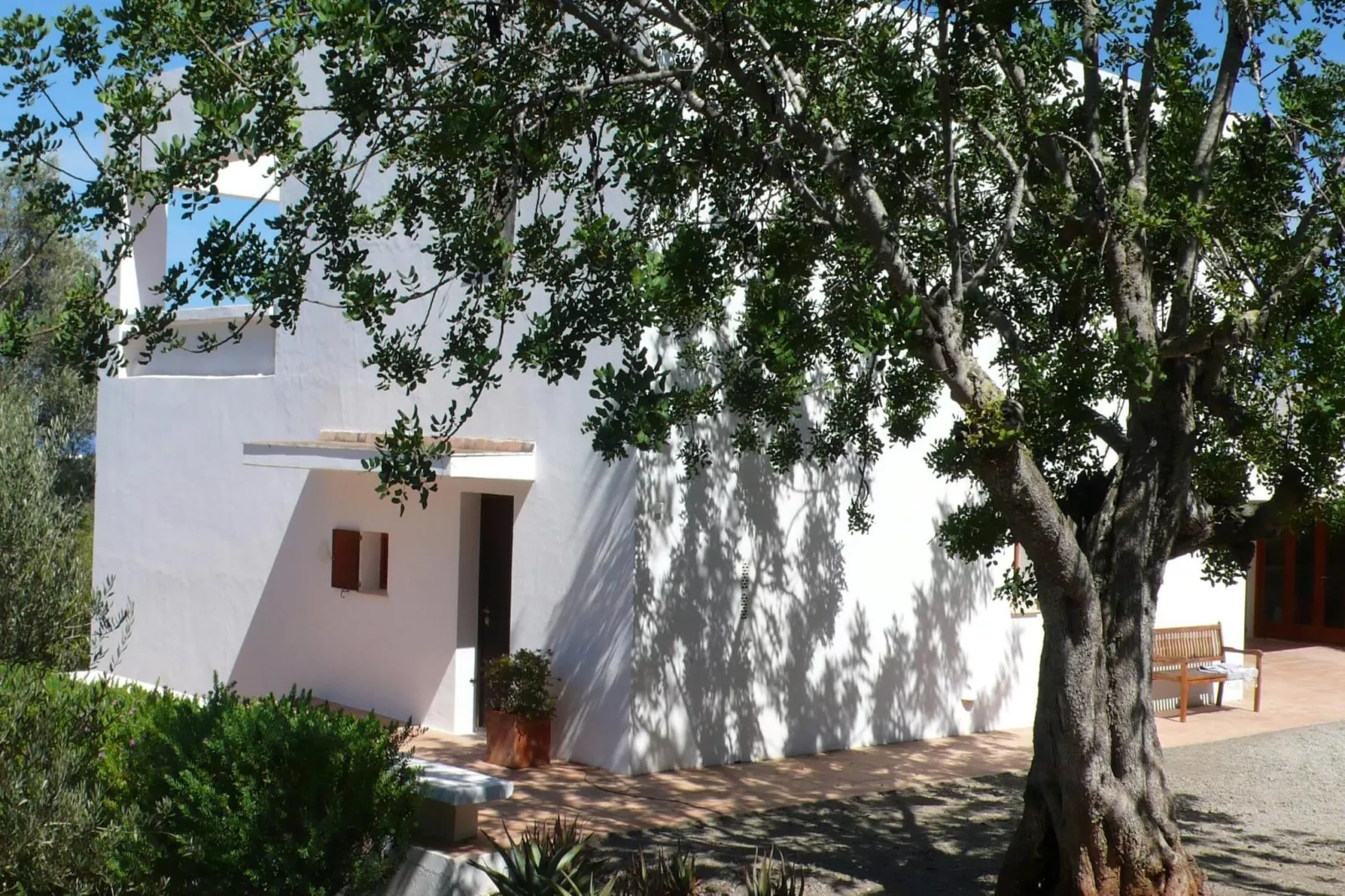 Can Perez-Exterior summer