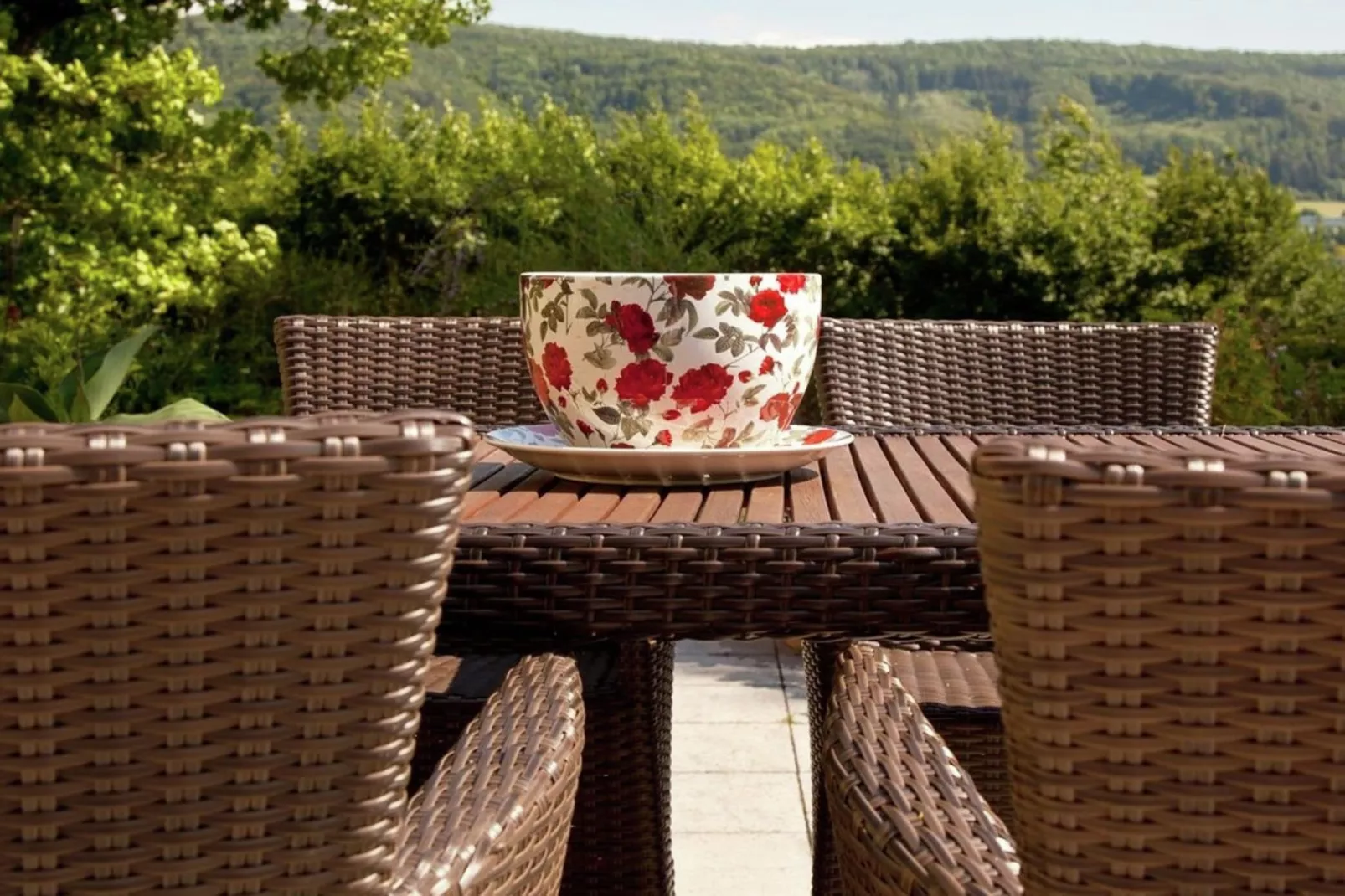 Weserbergland - Bad Pyrmont-Terrace balcony