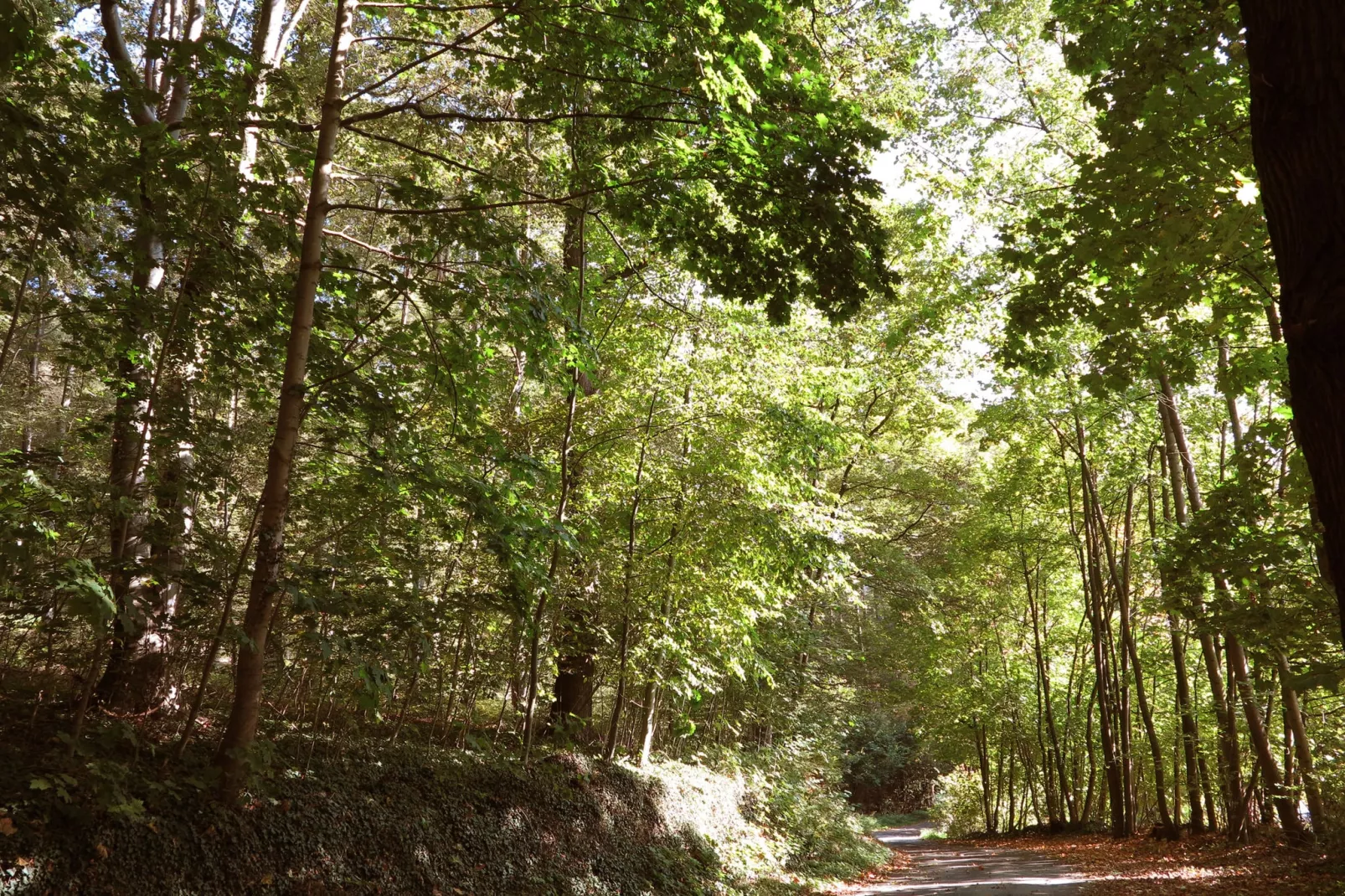 Weserbergland - Bad Pyrmont-Areas summer 1km