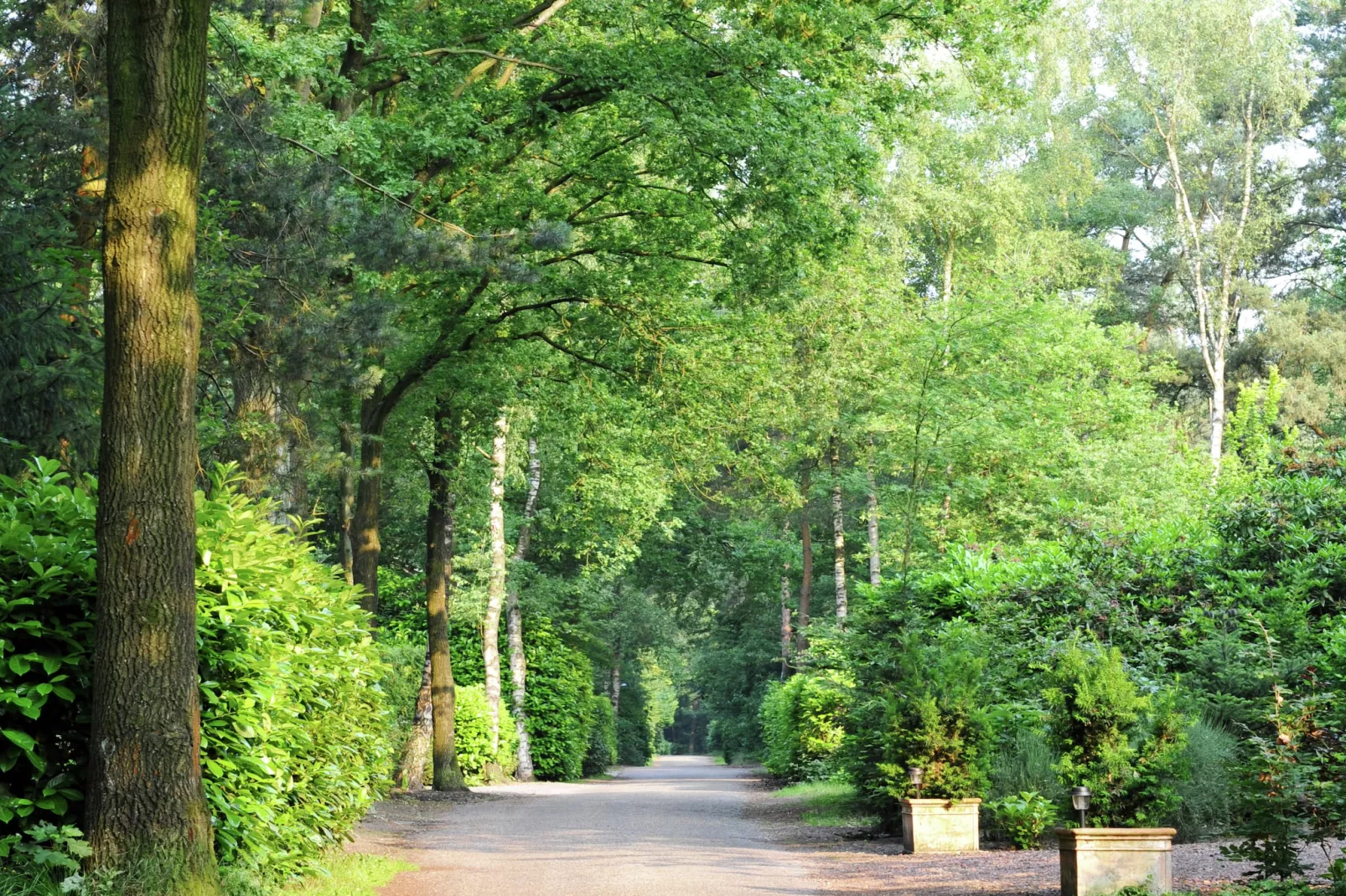 Parc de Kievit 22-Areas summer 1km