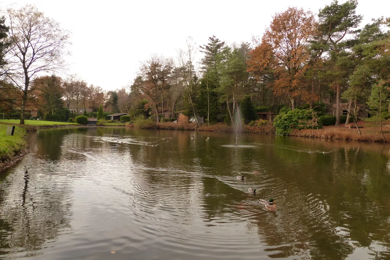 Parc de Kievit 23-Areas summer 1km