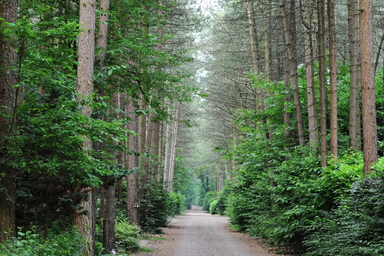 Parc de Kievit 23-Areas summer 1km