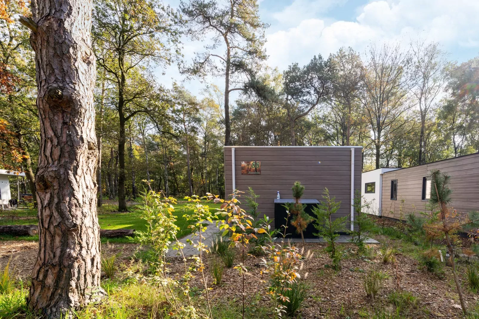 Vakantiewoning Boszicht-Gardens summer
