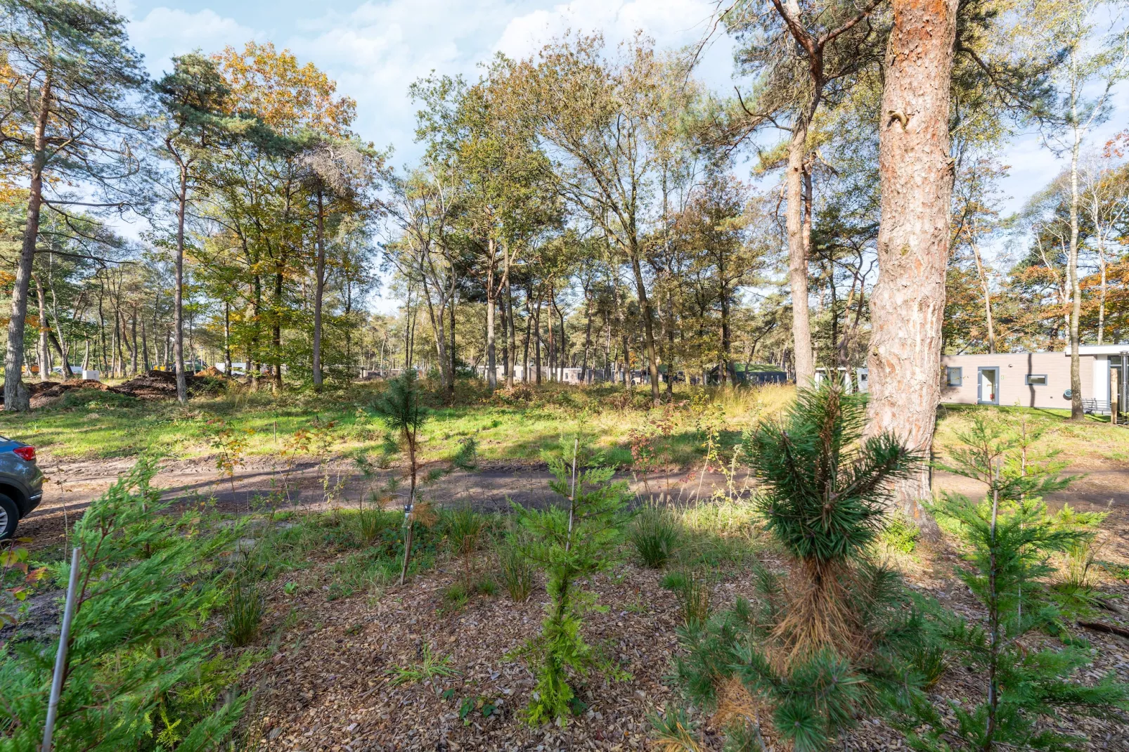 Vakantiewoning Boszicht-Gardens summer