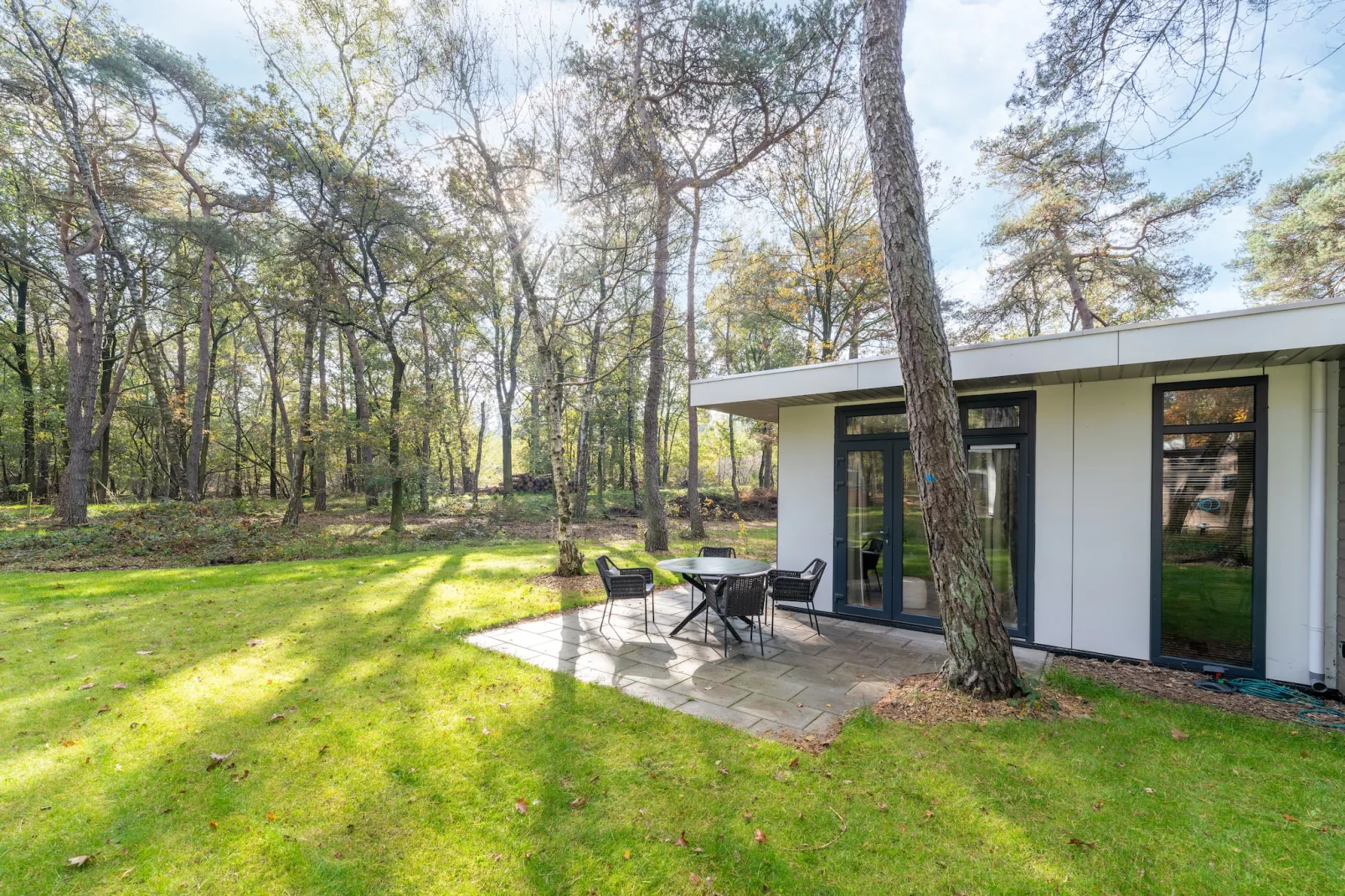 Vakantiewoning Boszicht-View summer
