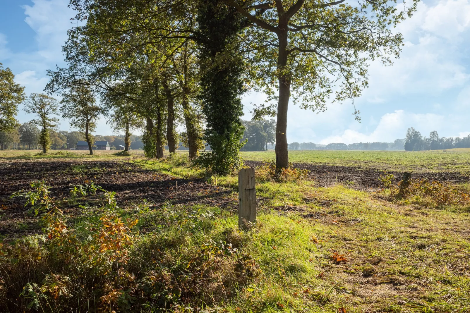 Vakantiewoning Boszicht-Areas summer 1km