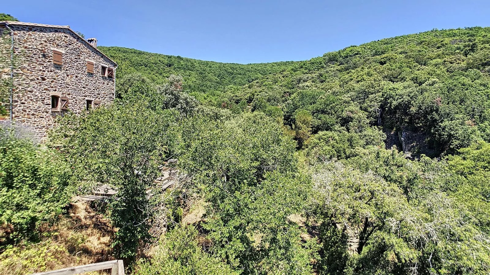 Oleandre-View summer