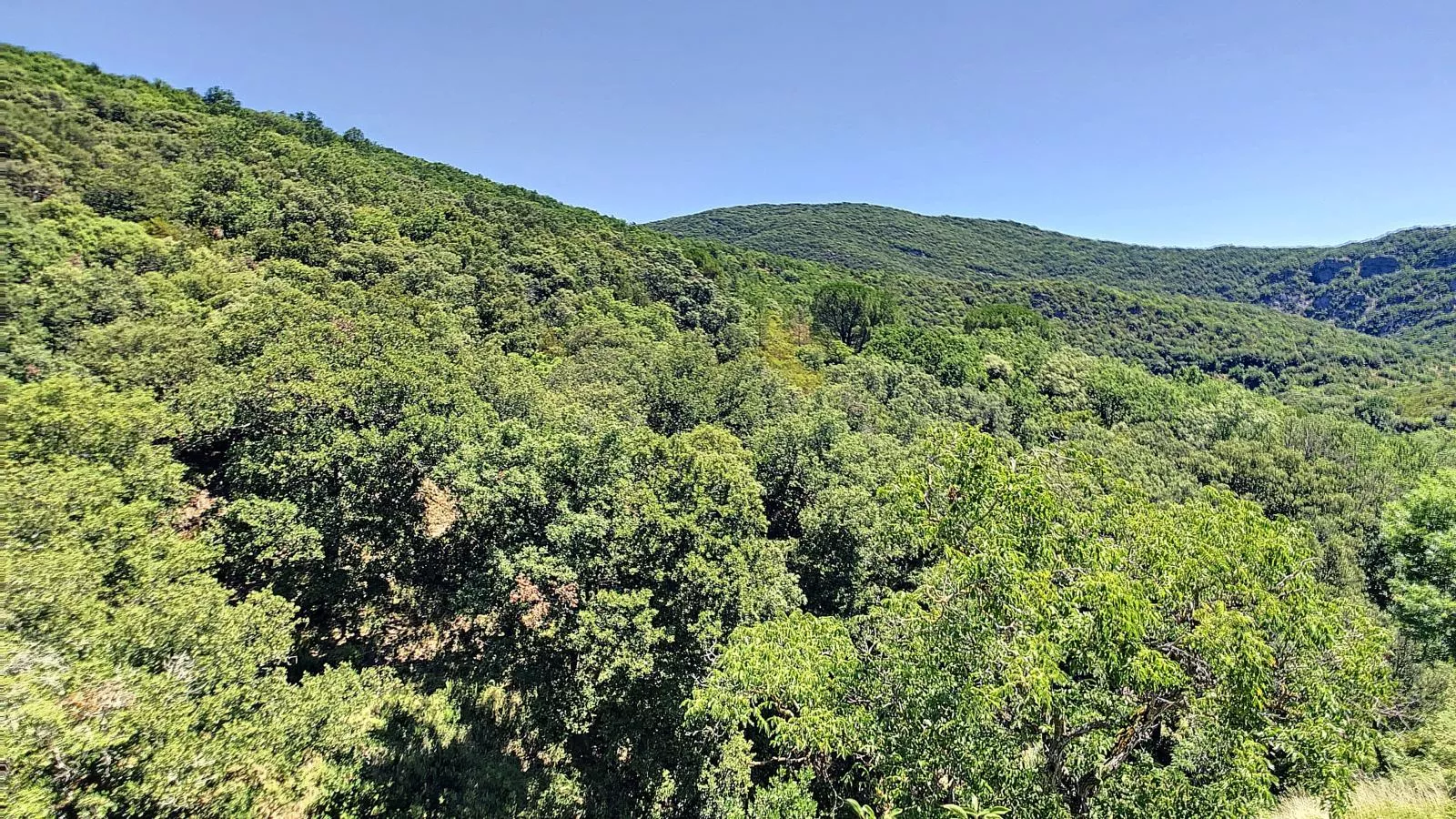 Oleandre-View summer