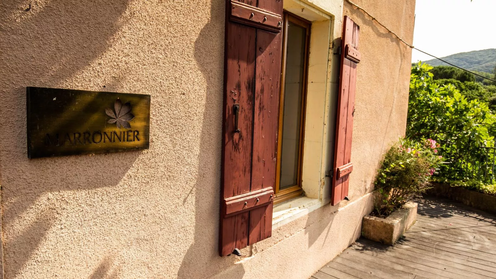 Marronnier-Exterior summer