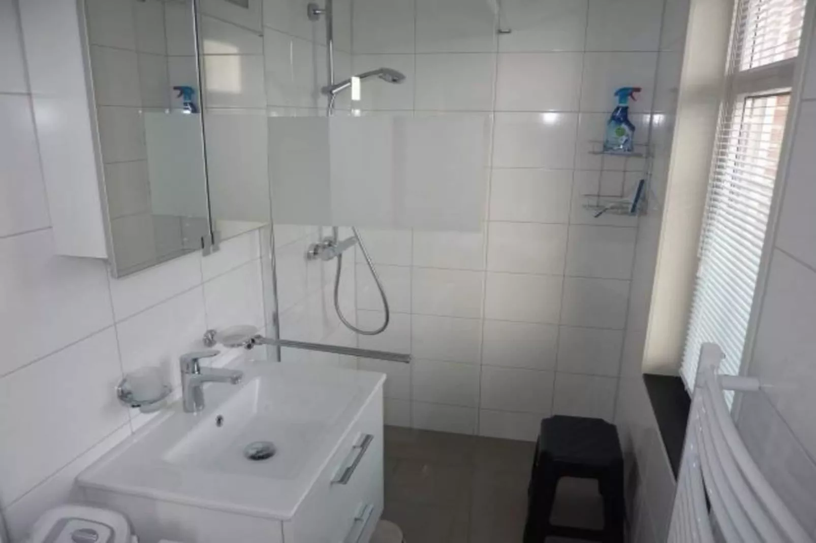 Landgoed de Lente 28 Tulp Breskens-Bathroom