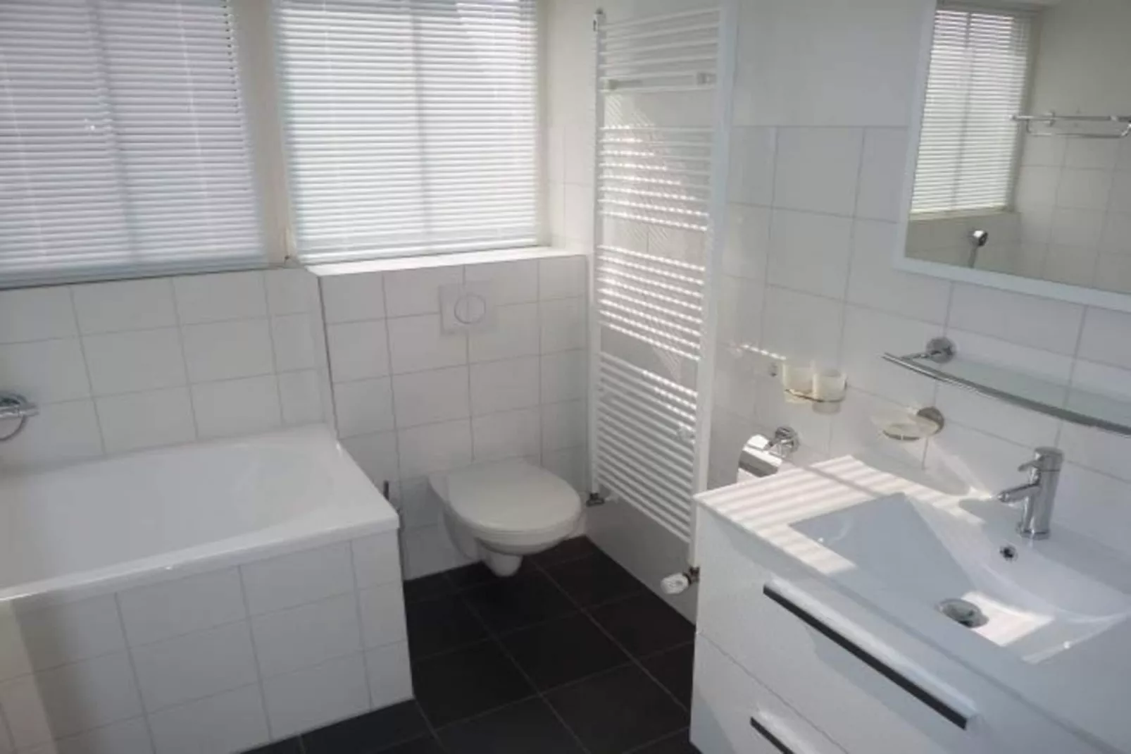 Landgoed de Lente 28 Tulp Breskens-Bathroom