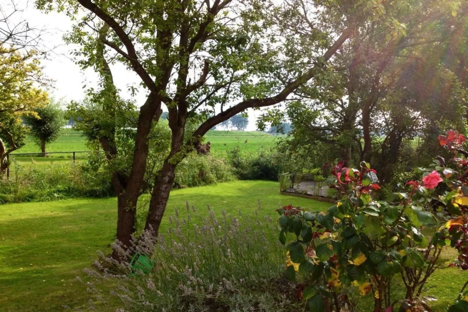 Nummer Één 26a Hoofdplaat-Jardin d'été