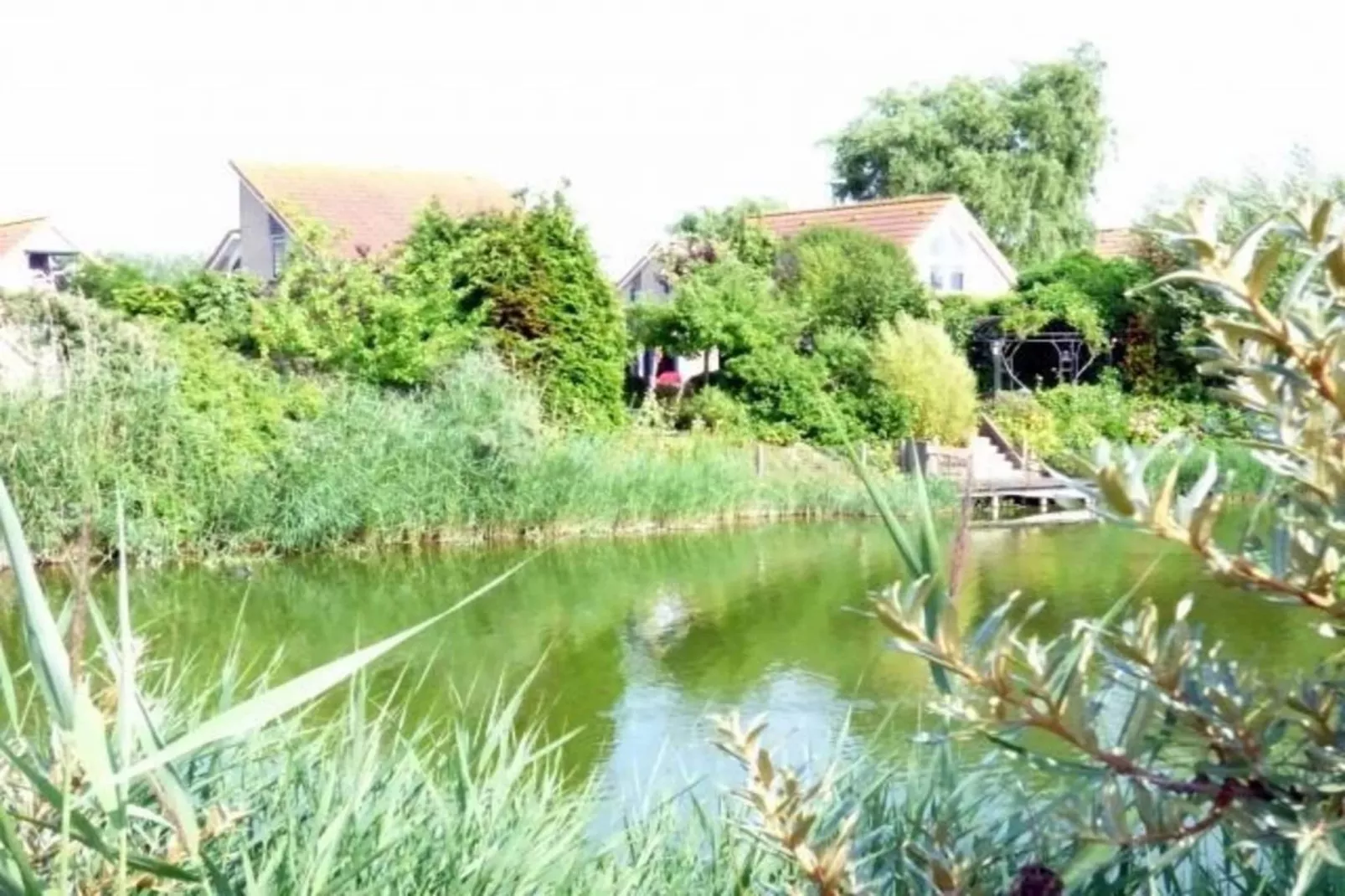 Scheldeveste 153 Zwin Breskens-Areas summer 1km