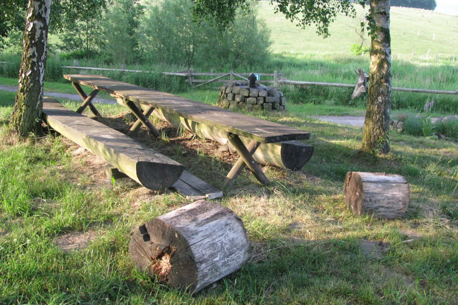 Im Teutoburger Wald-Gebiete Sommer 1 km