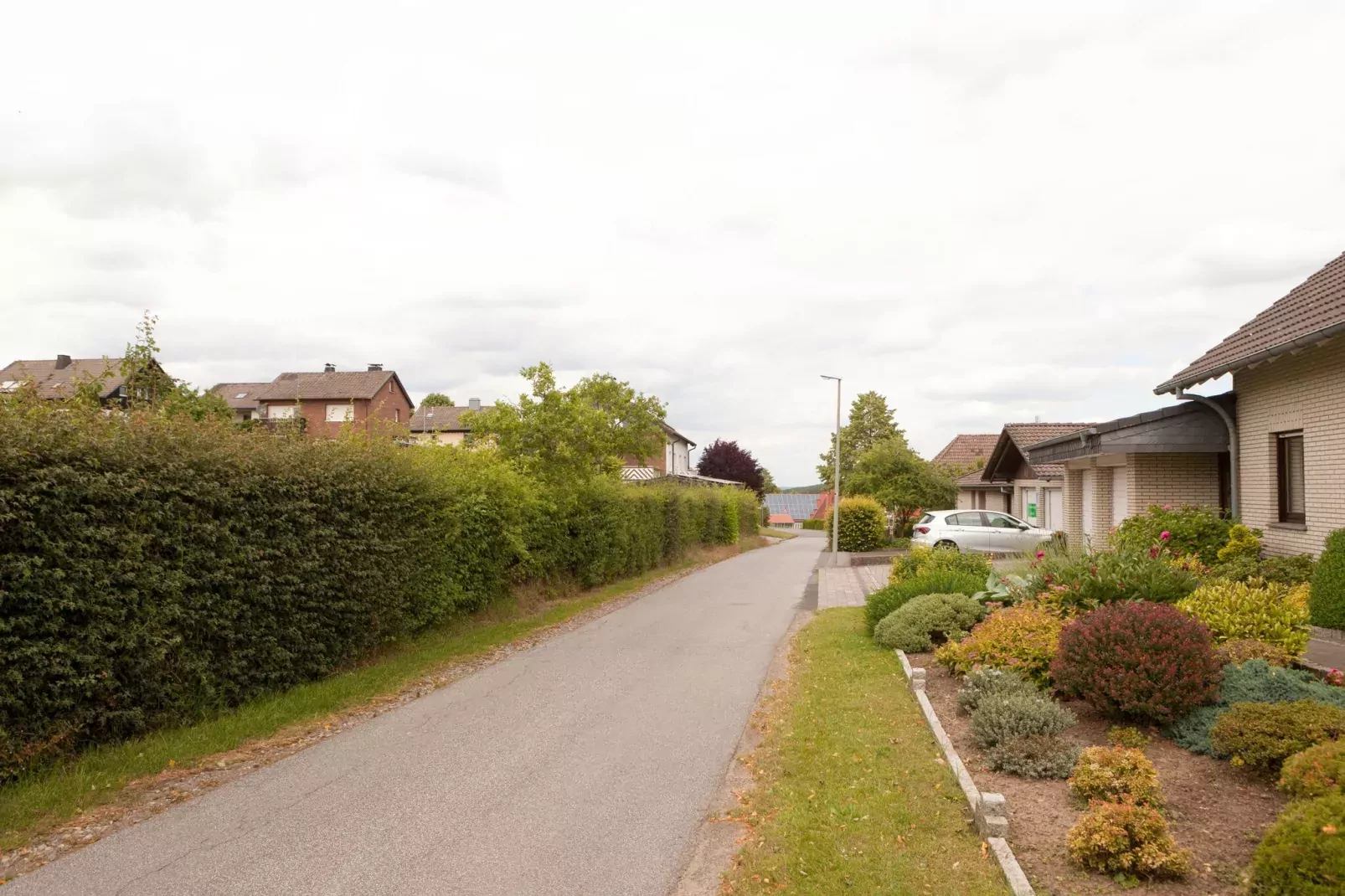 Aurelia-Areas summer 5km