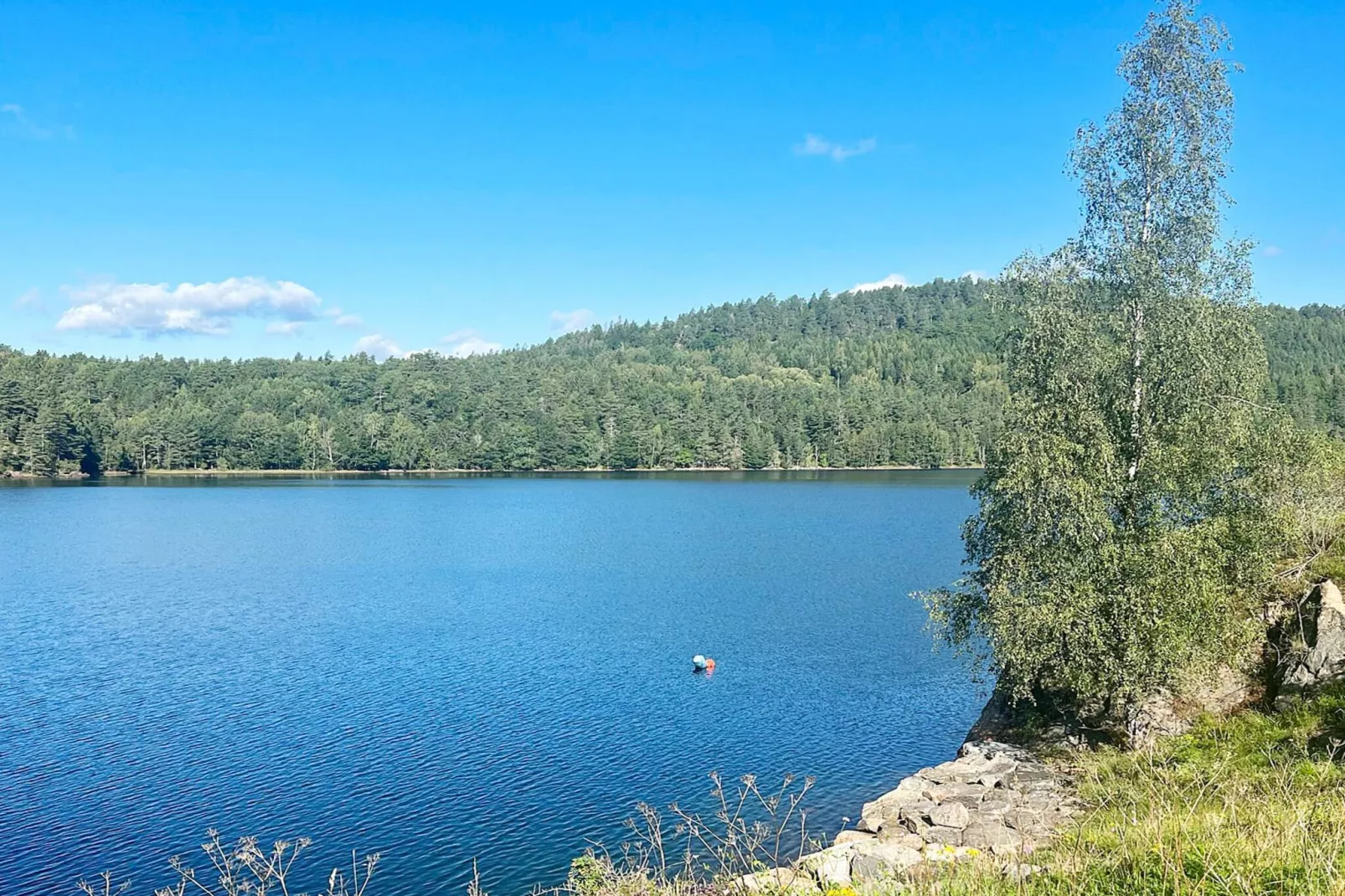 10 person holiday home in TVEDESTRAND-Water view