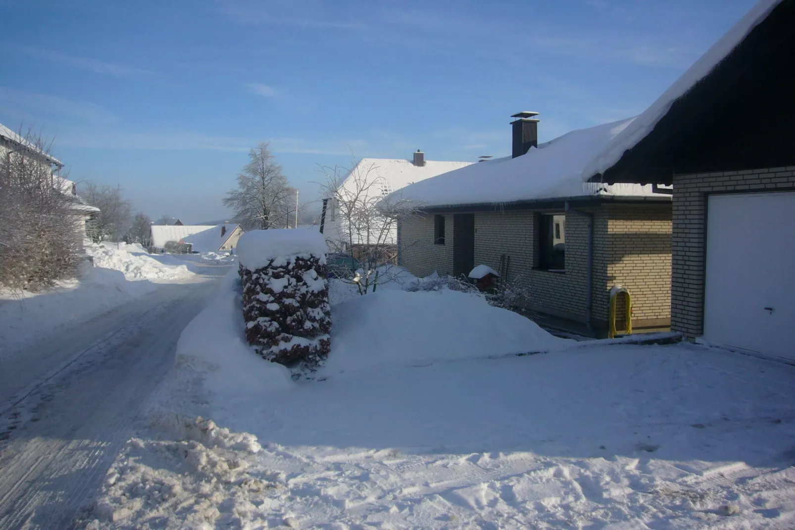 Aurelia-Exterior winter
