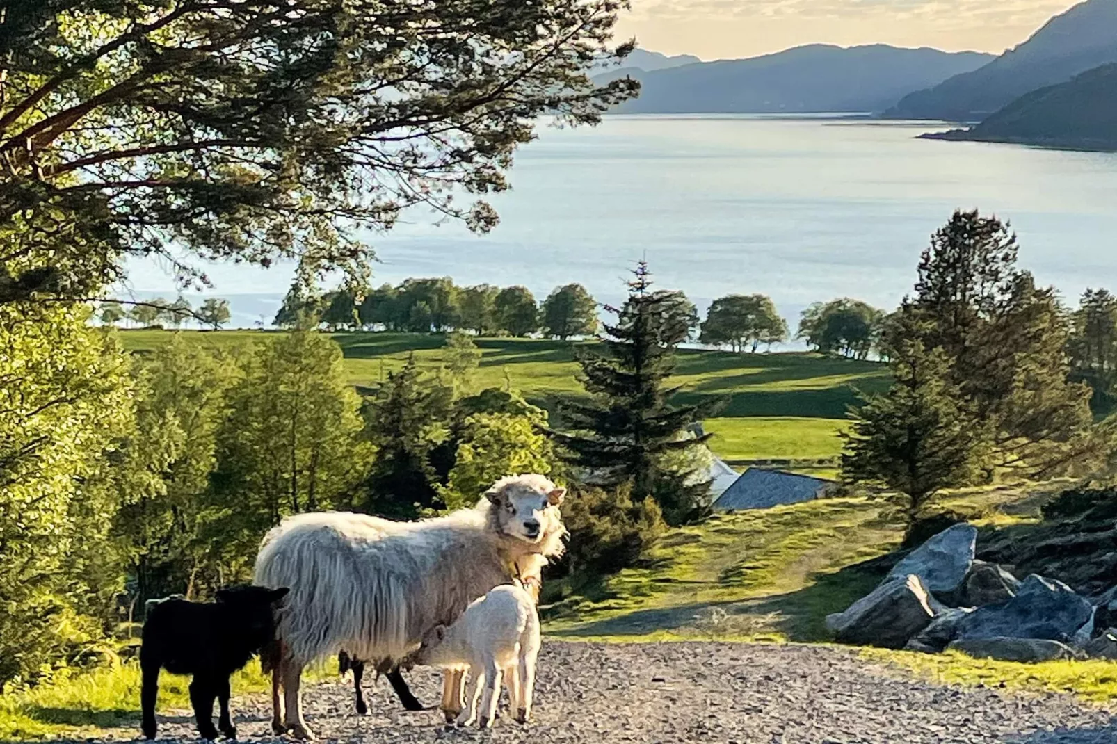 12 person holiday home in Davik-Not tagged