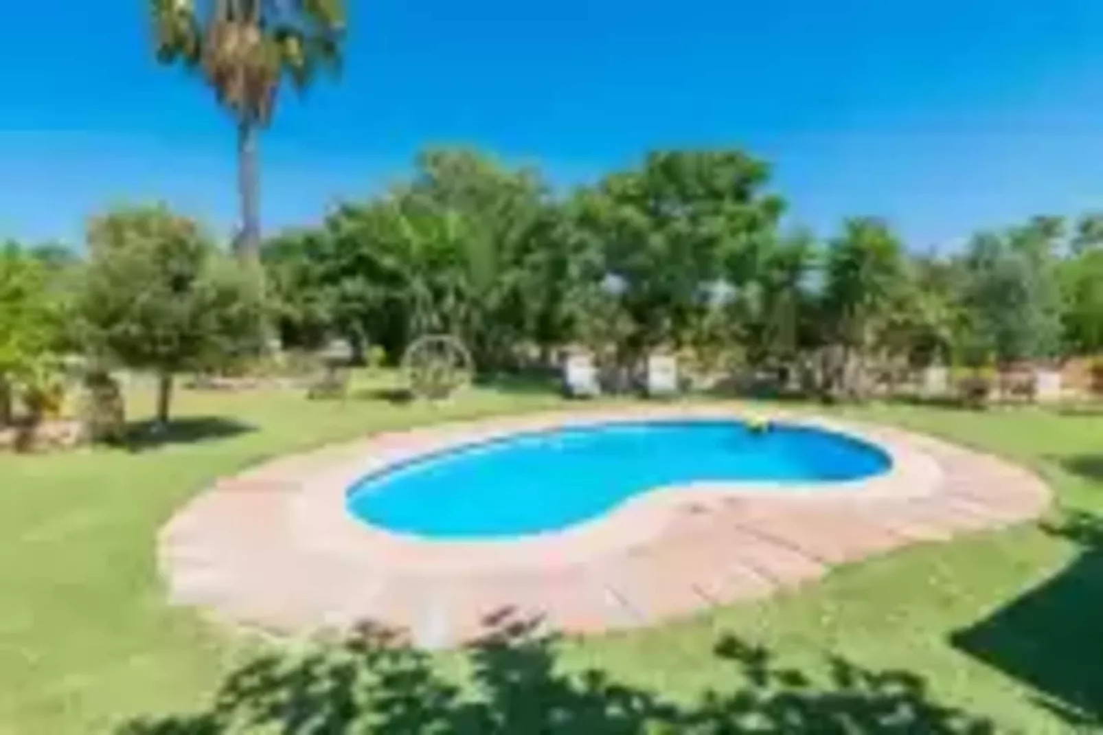 Finca Can Diego-Pool