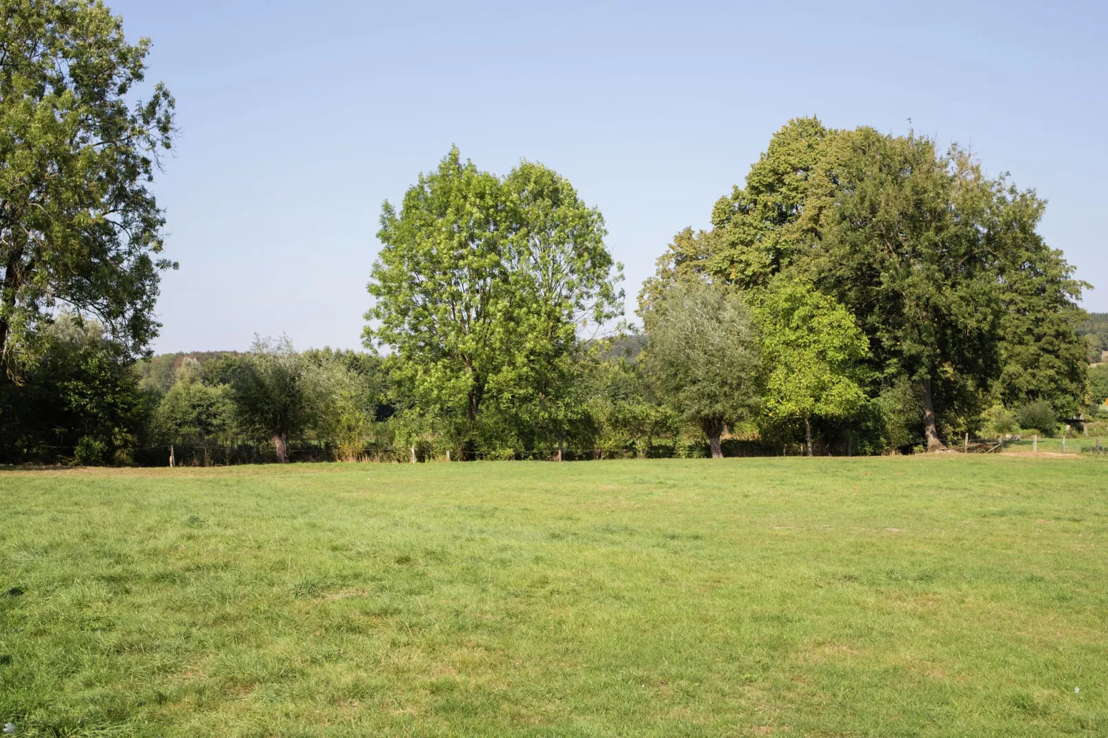 Nieheim-Merlsheim-Areas summer 5km