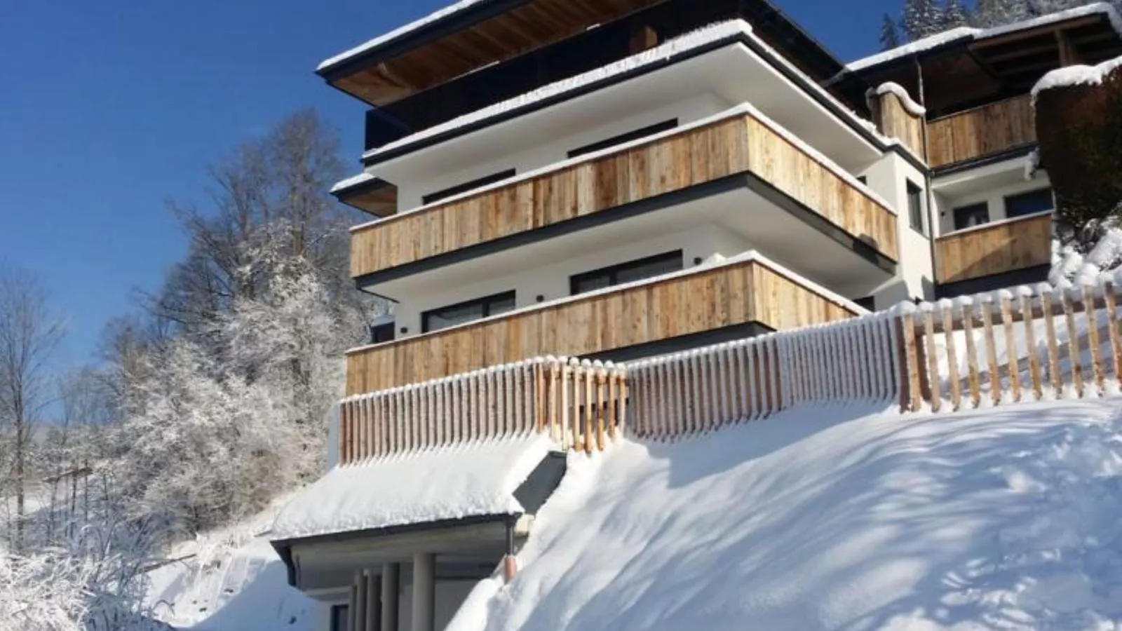 Hamberg-Exterior winter