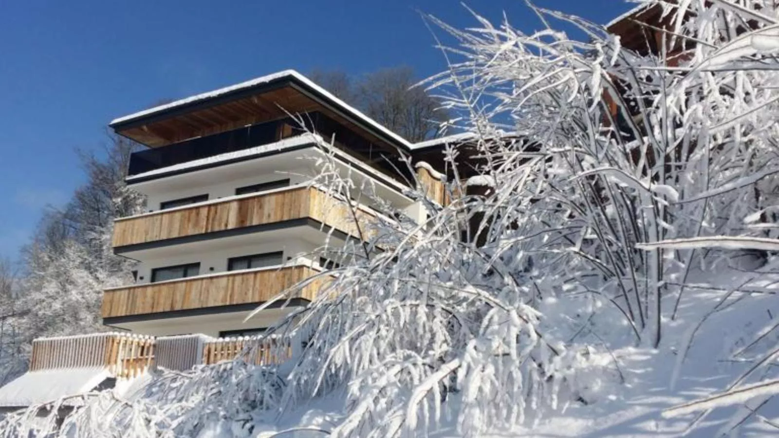 Hamberg-Exterior winter
