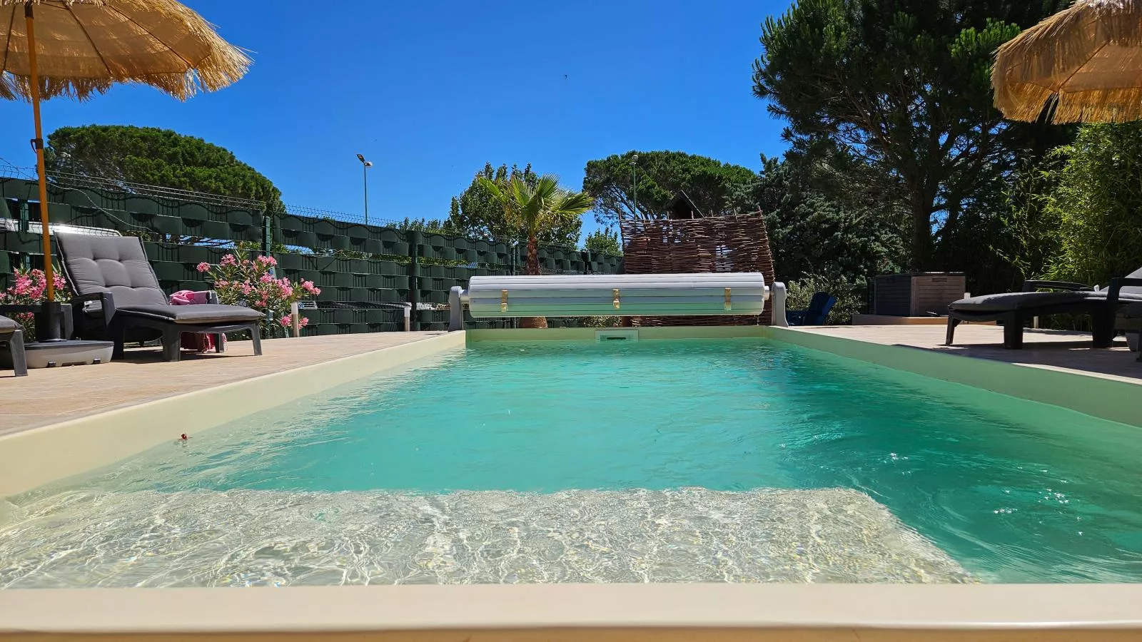 Bambou-Pool