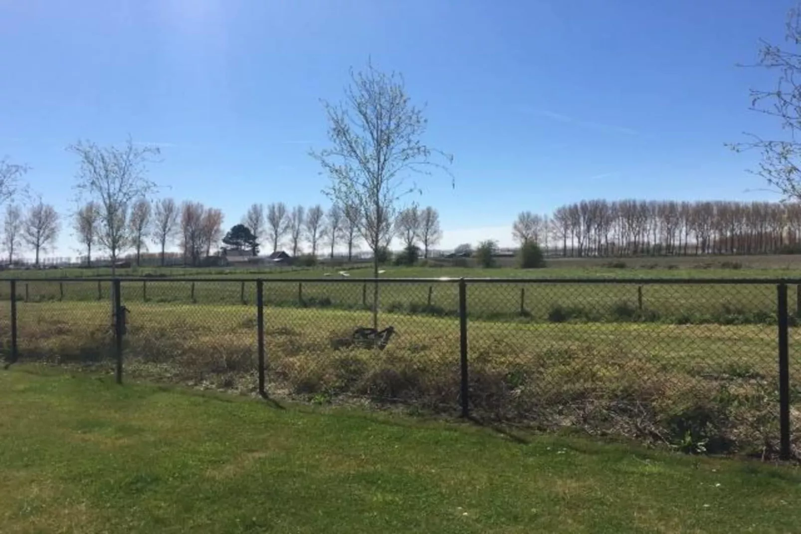 Landgoed de Lente 12 Krokus Breskens-Gärten Sommer