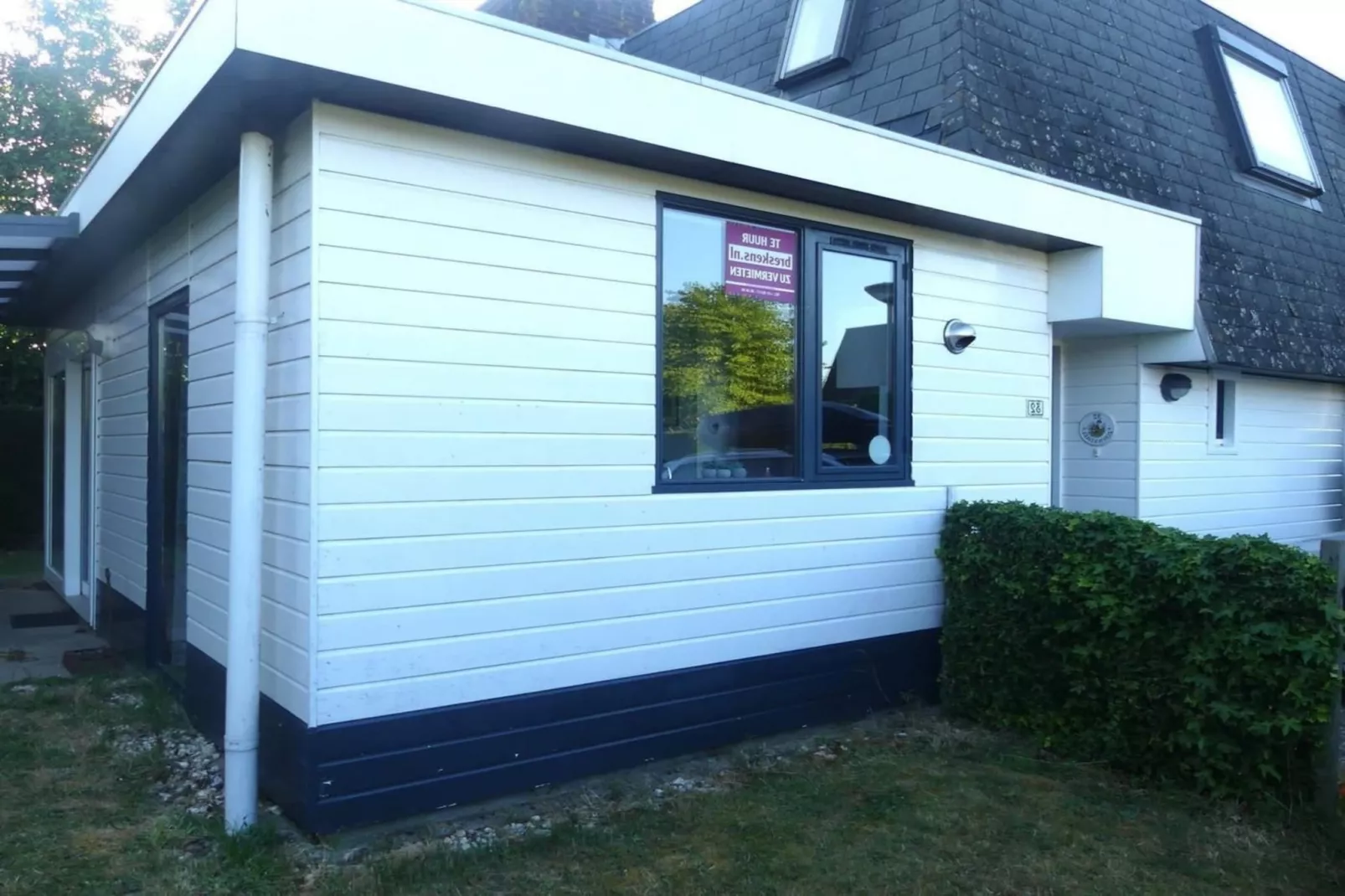 Schoneveld 32 Zeester Breskens-Exterior summer